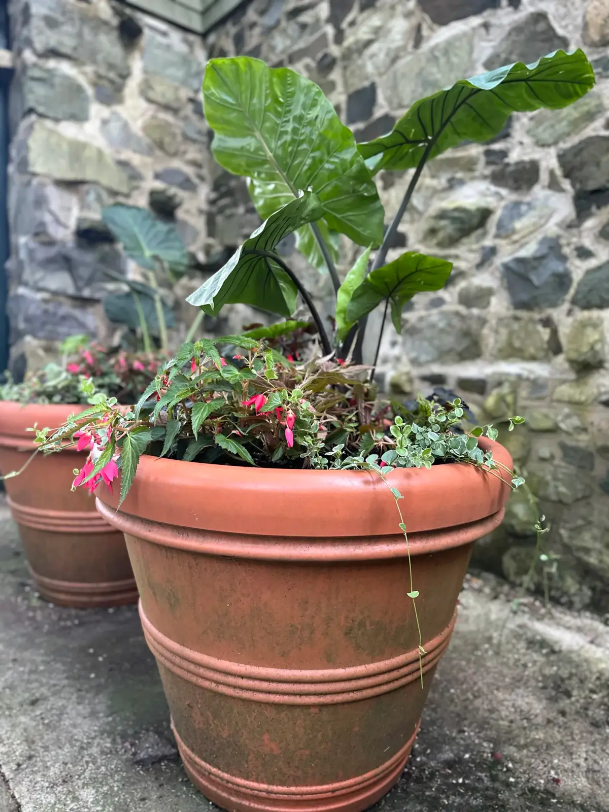 Terracotta pots against a fieldstone wall