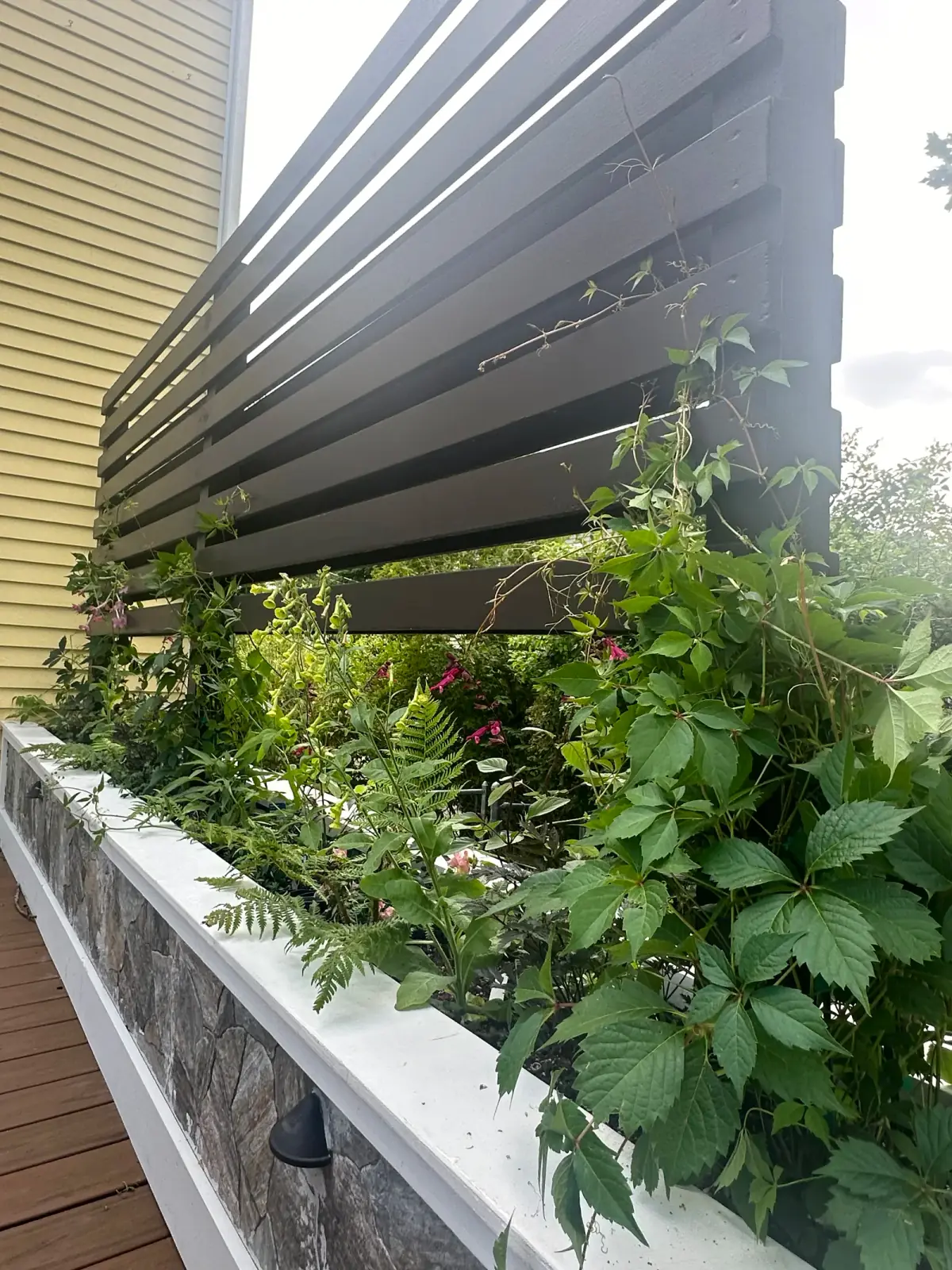Container detail