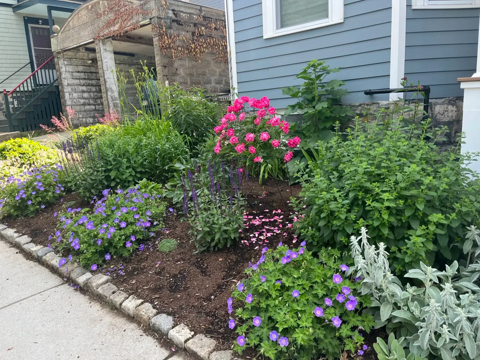 Cambridge postage stamp garden full view