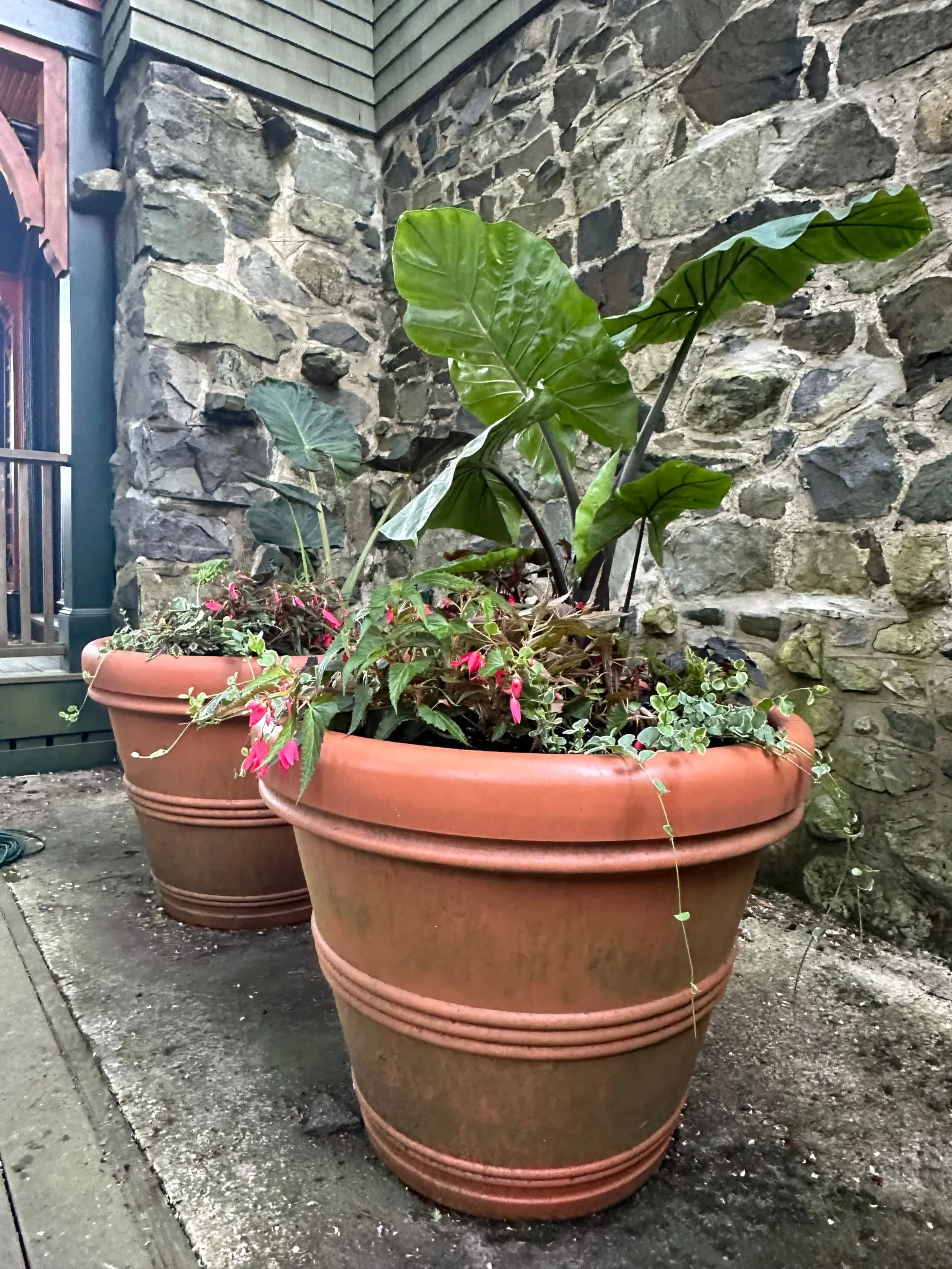 Seasonal container planting