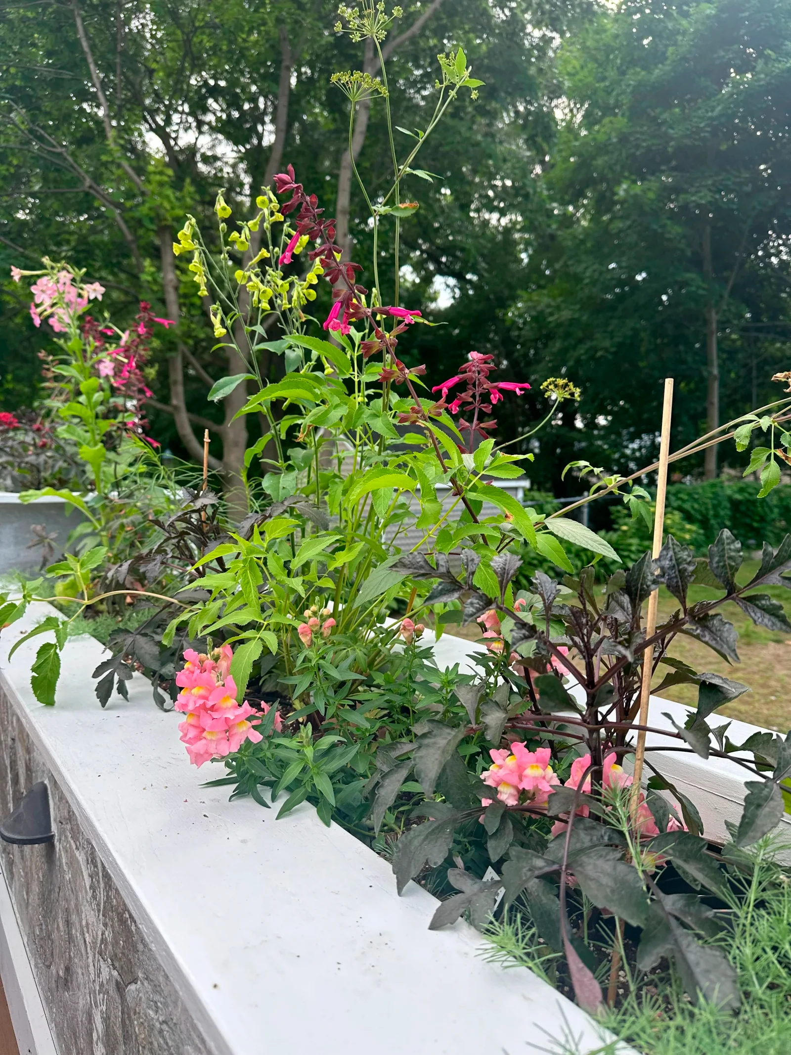 Seasonal container planting