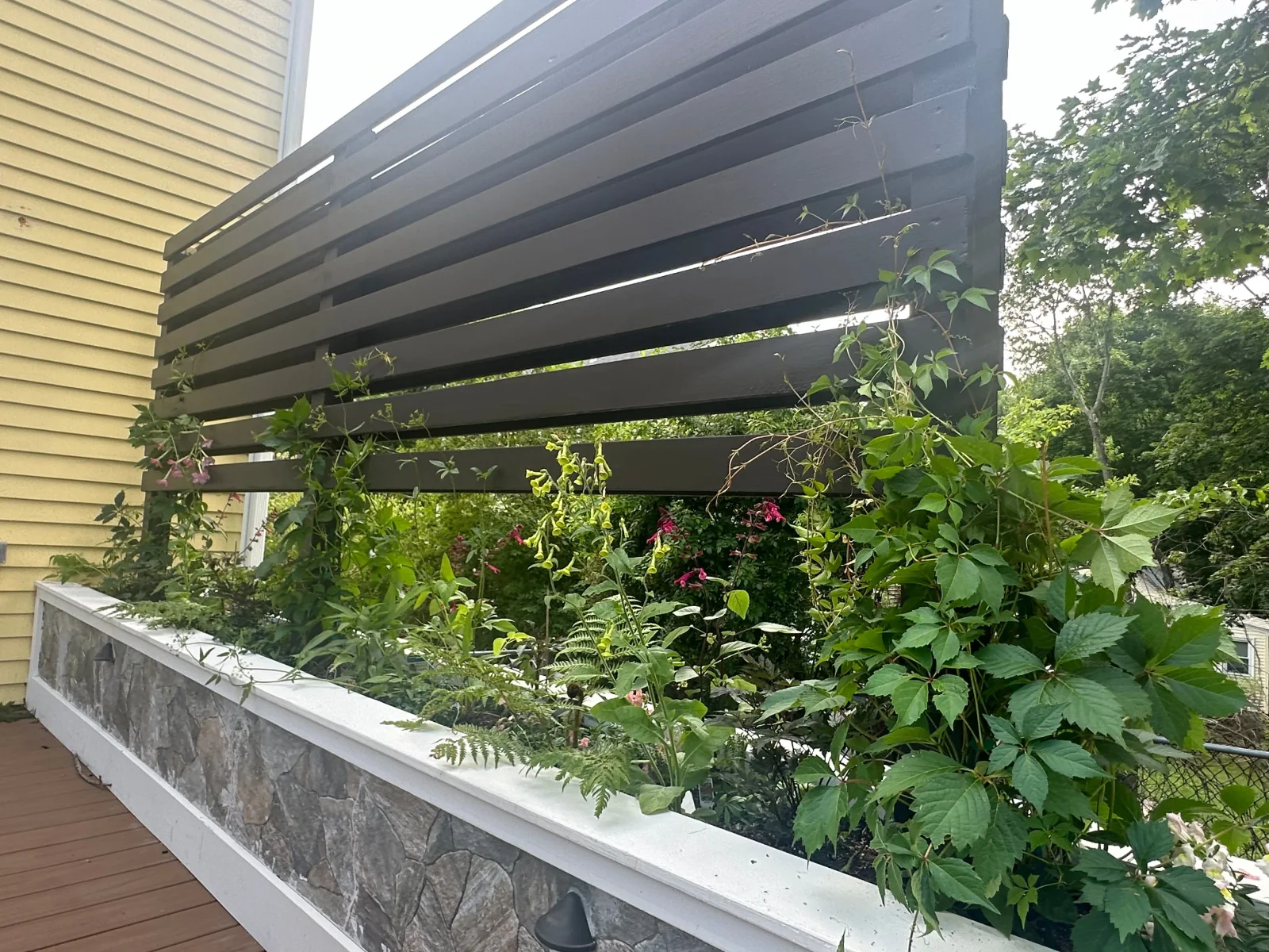 Seasonal container planting