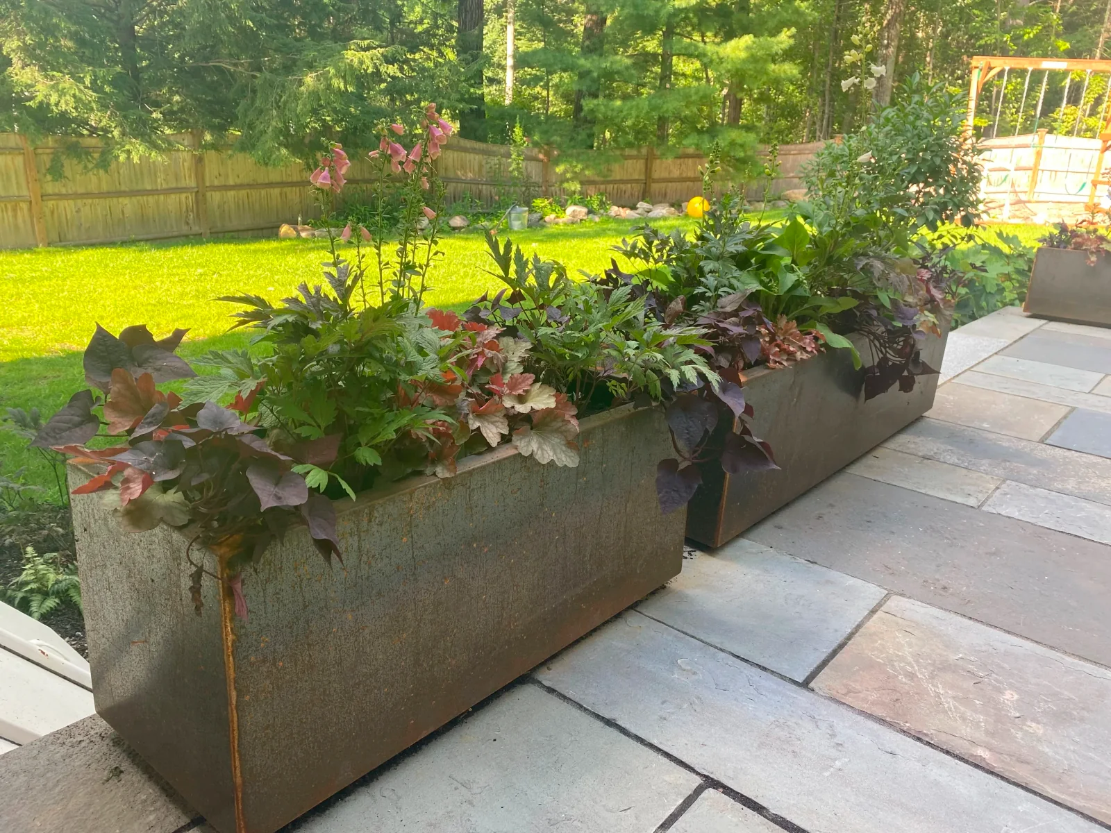 Seasonal container planting