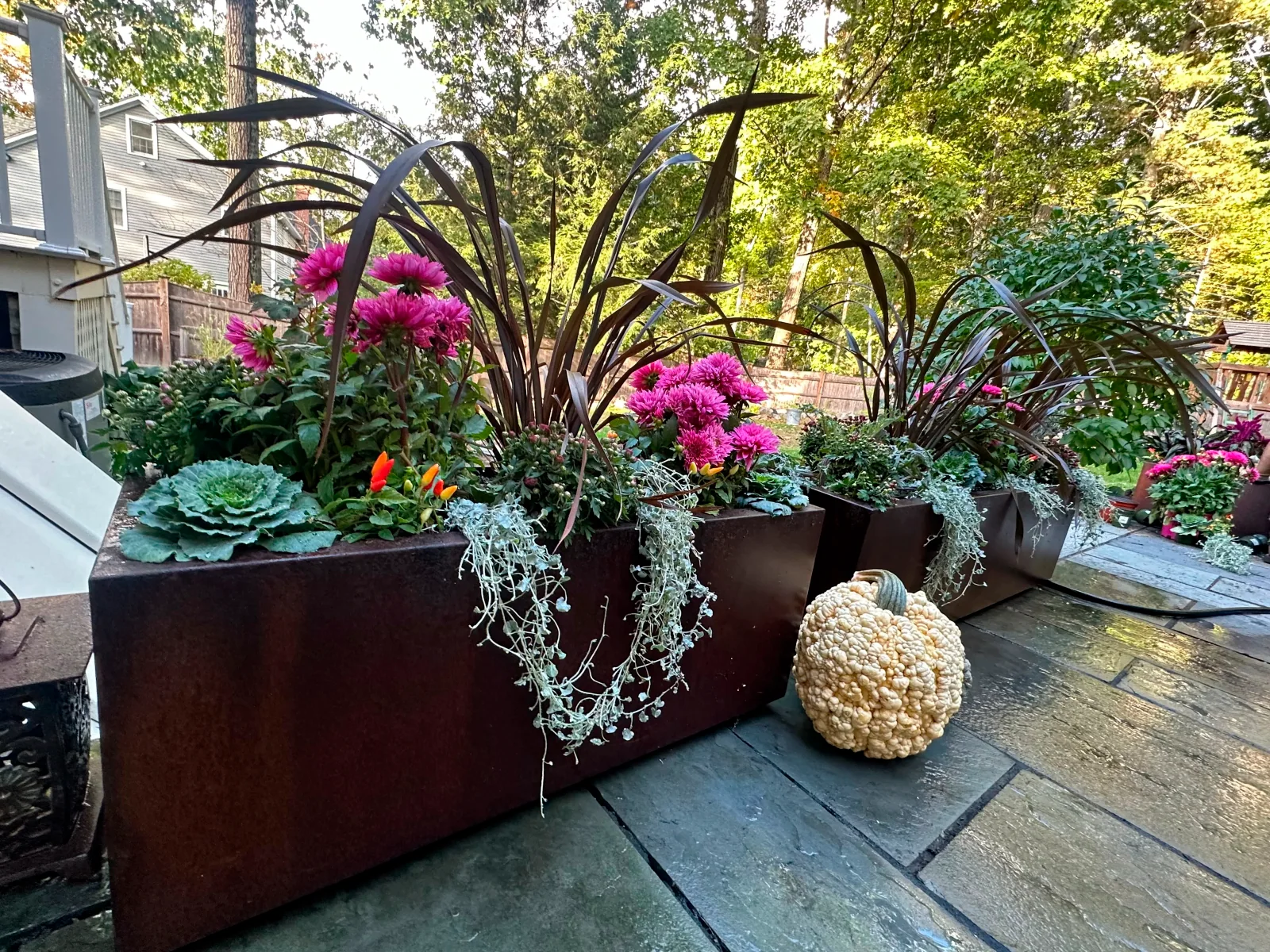 Seasonal container planting