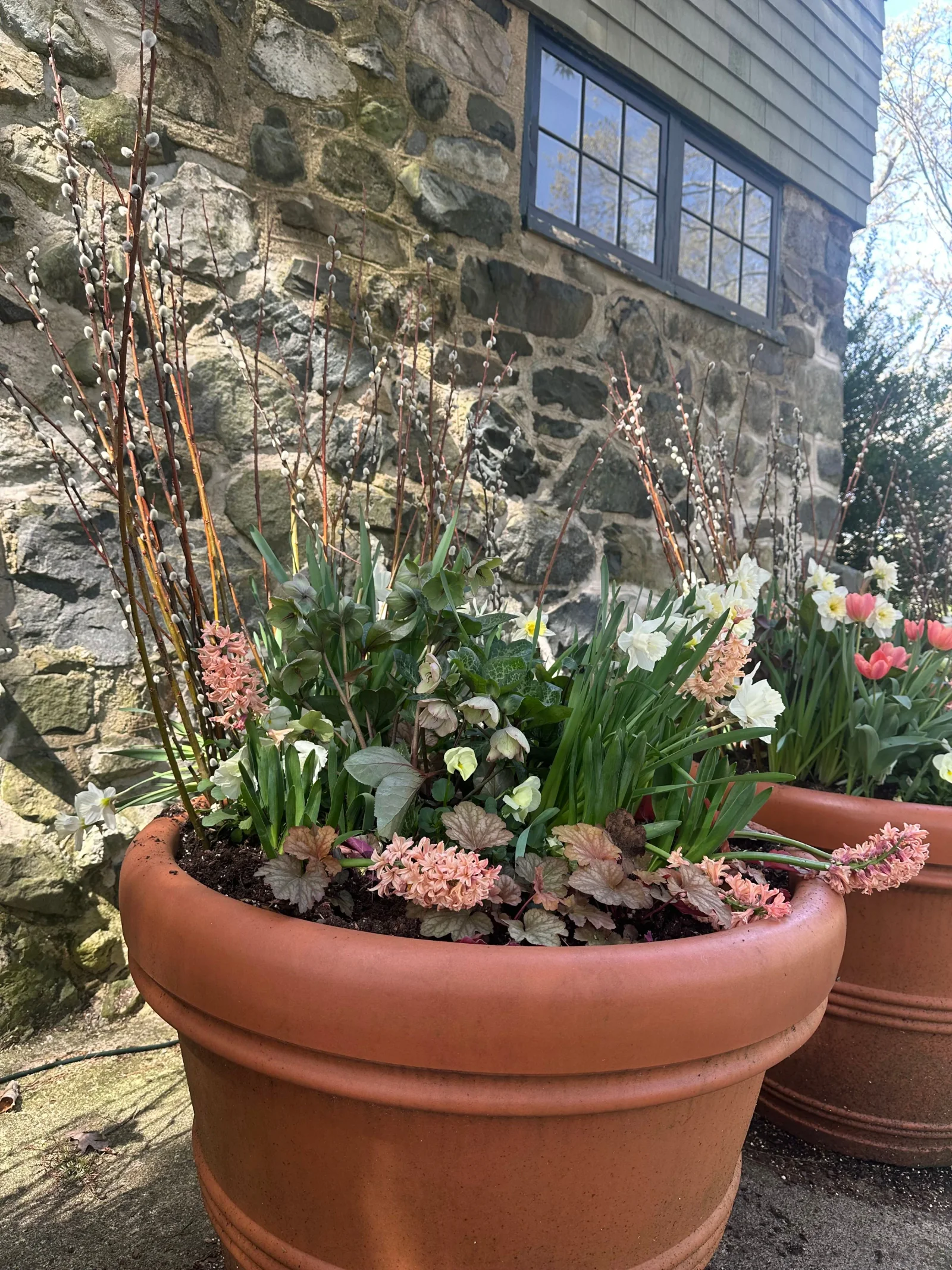 Seasonal container planting