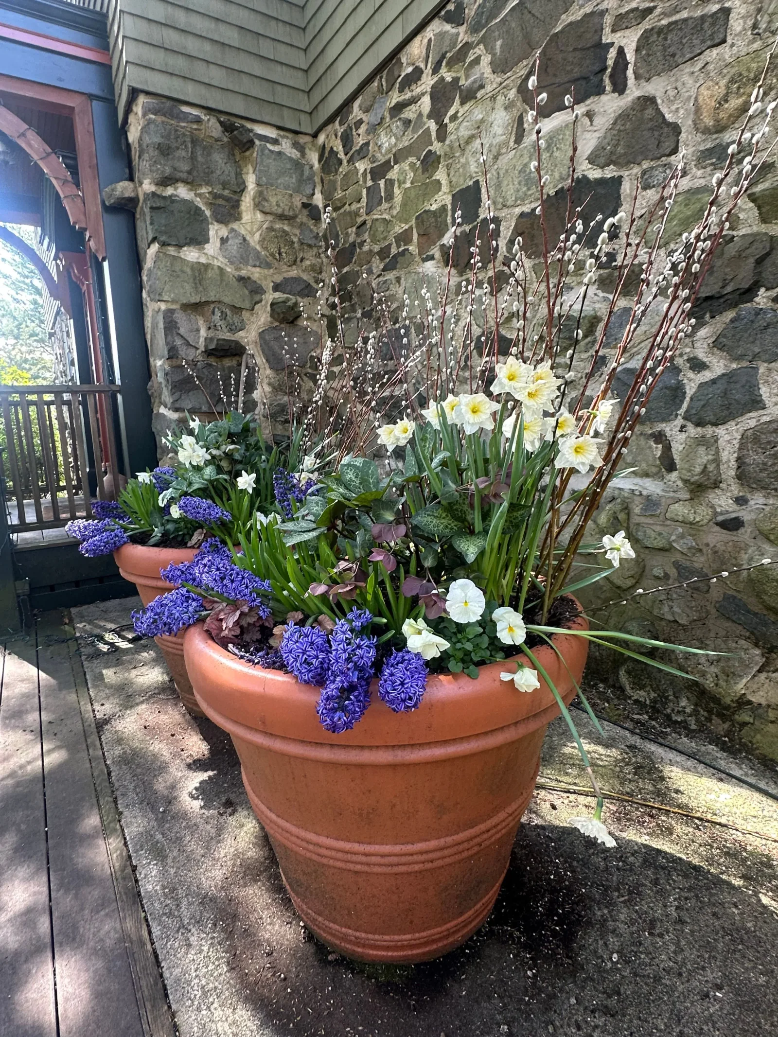 Seasonal container planting