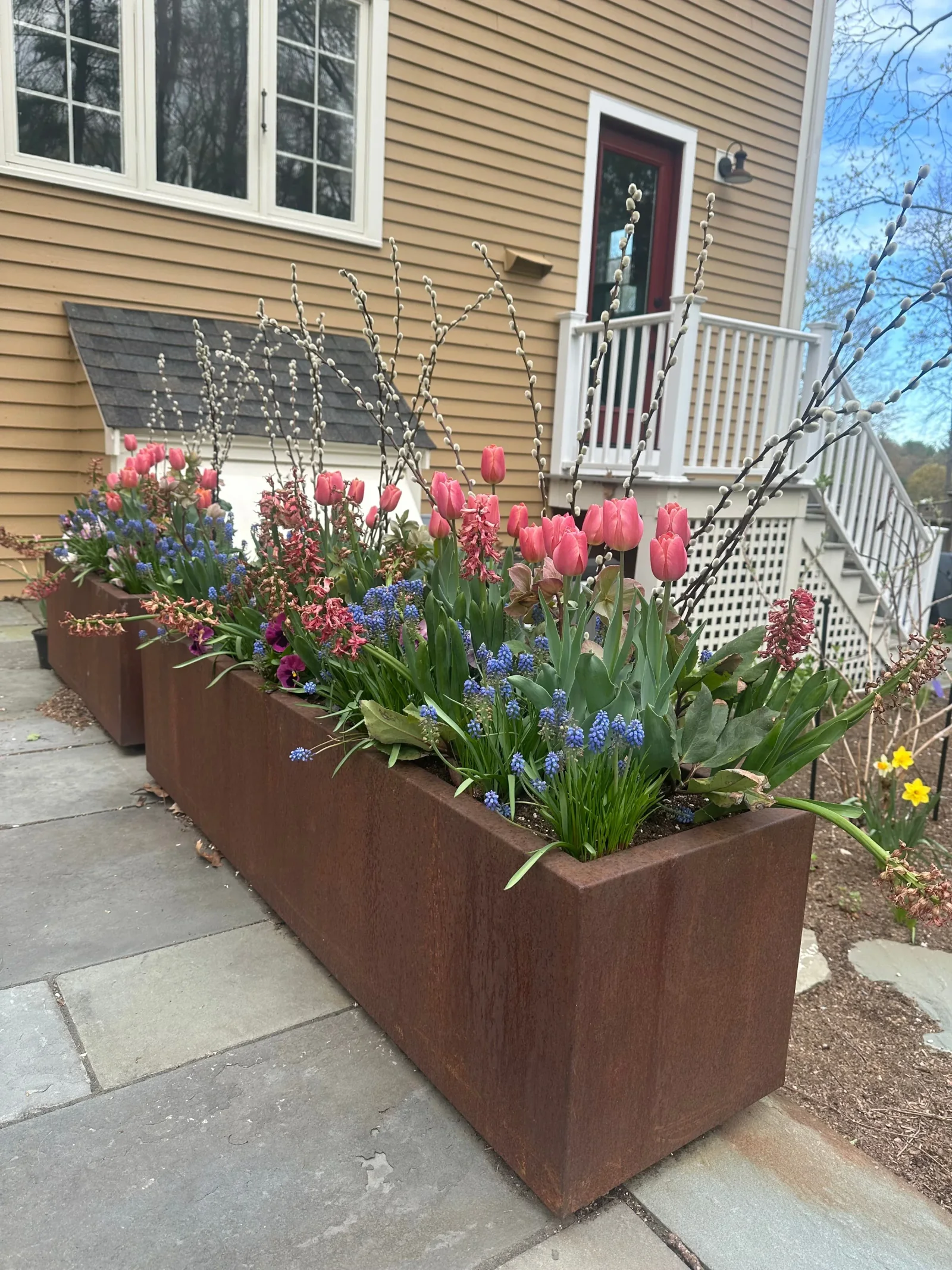 Seasonal container planting