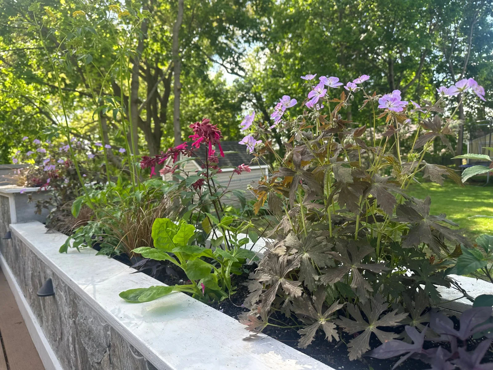 Seasonal container planting