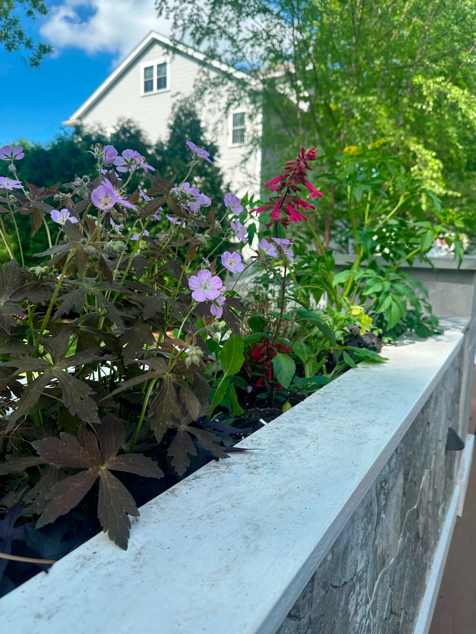 Seasonal container planting