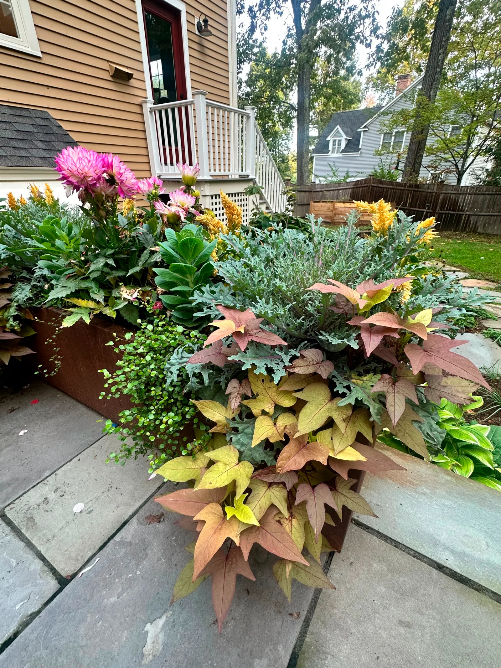 Seasonal container planting