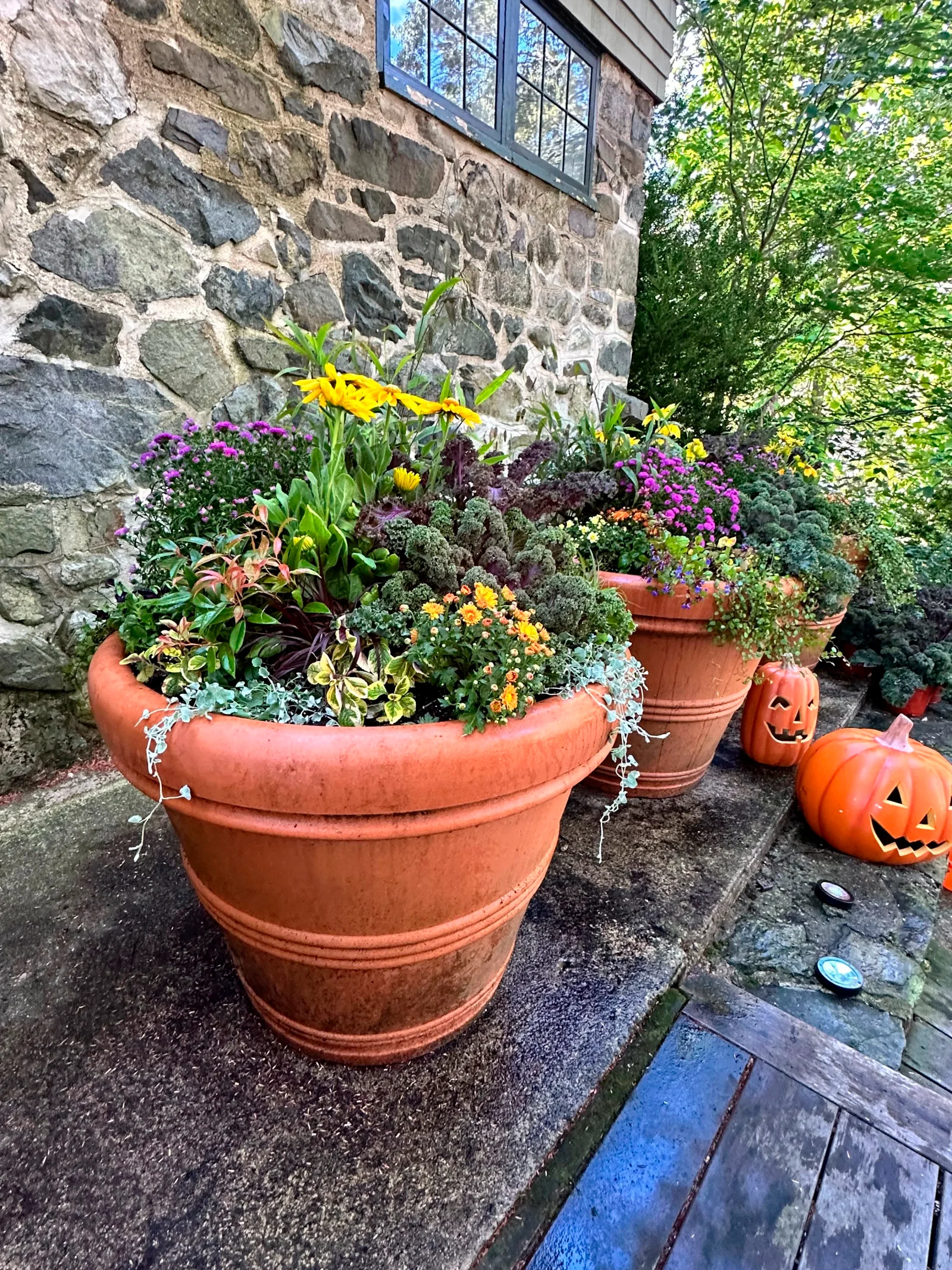 Seasonal container planting