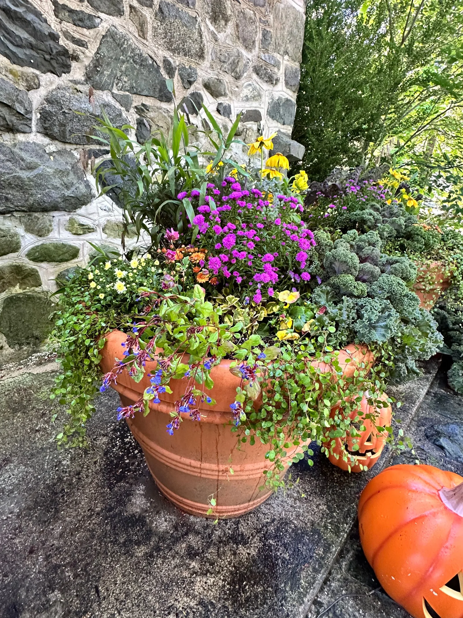 Seasonal container planting