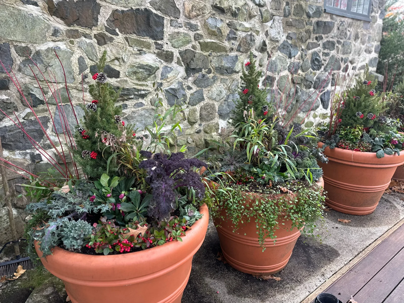 Seasonal container planting