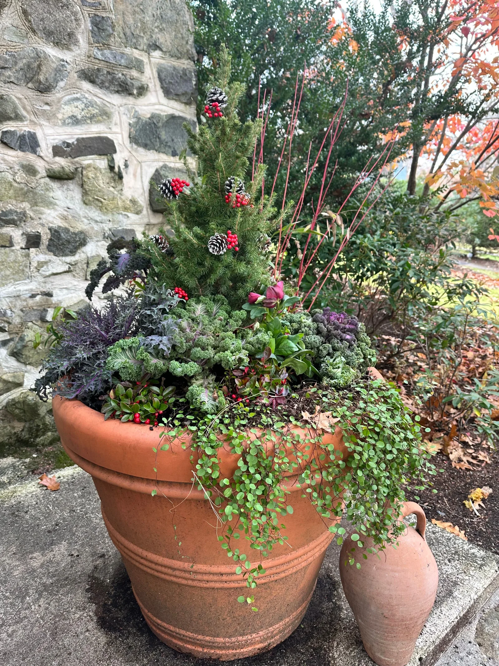 Seasonal container planting