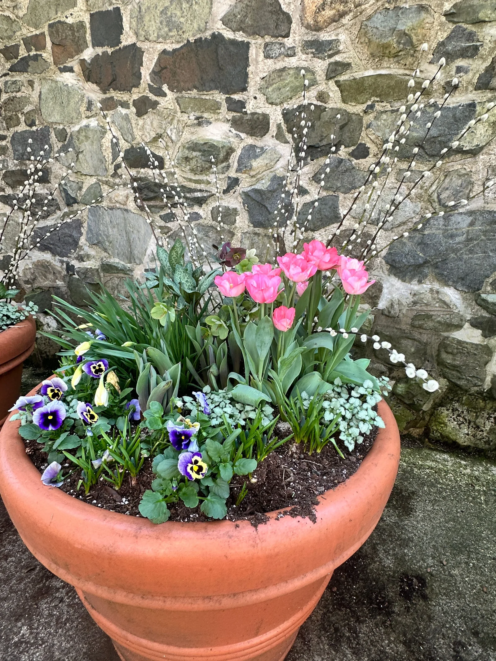Seasonal container planting