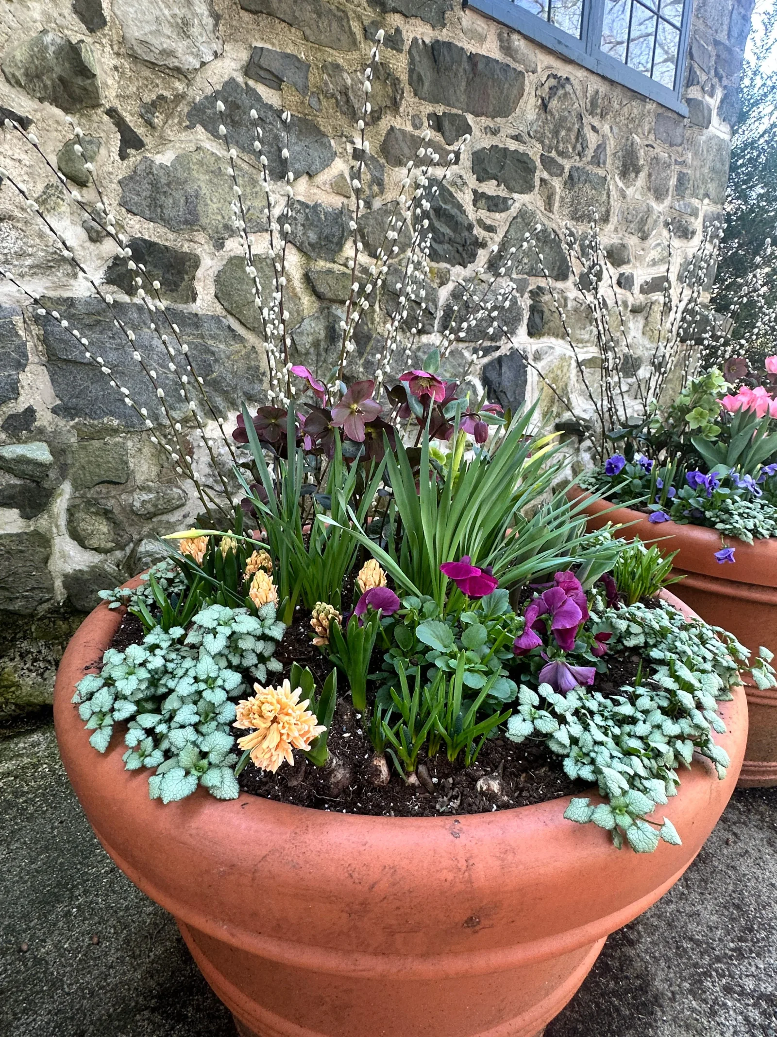 Seasonal container planting