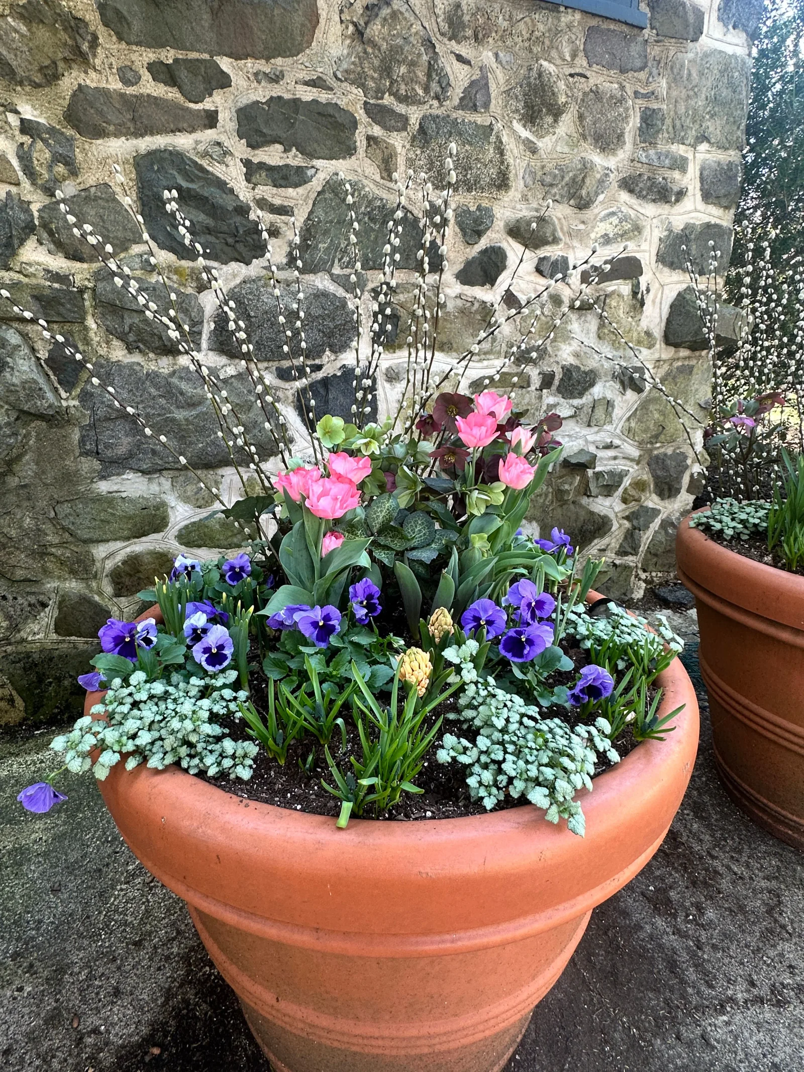 Seasonal container planting