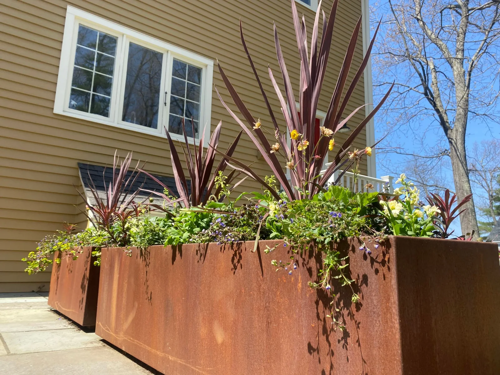 Seasonal container planting
