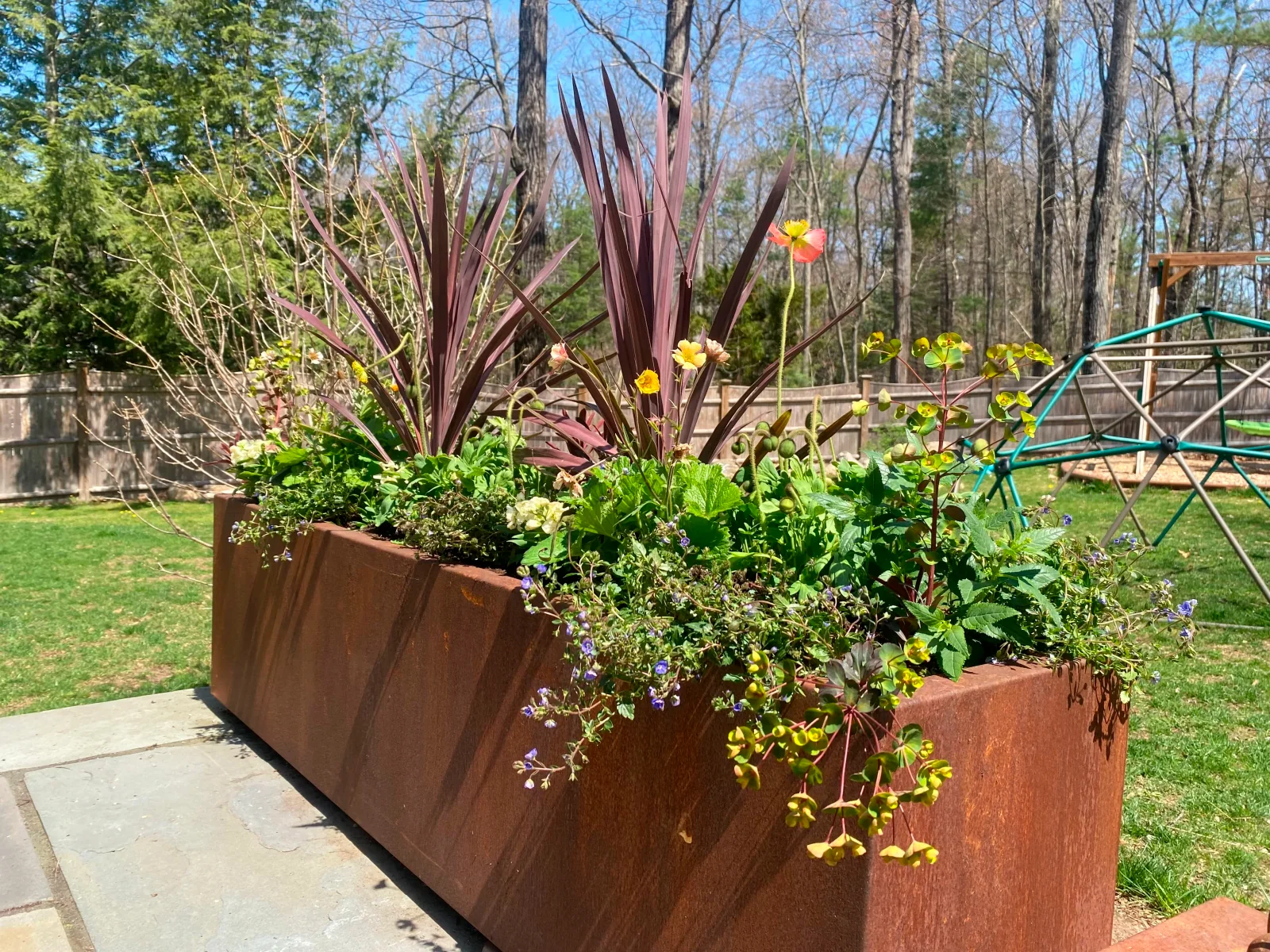 Seasonal container planting