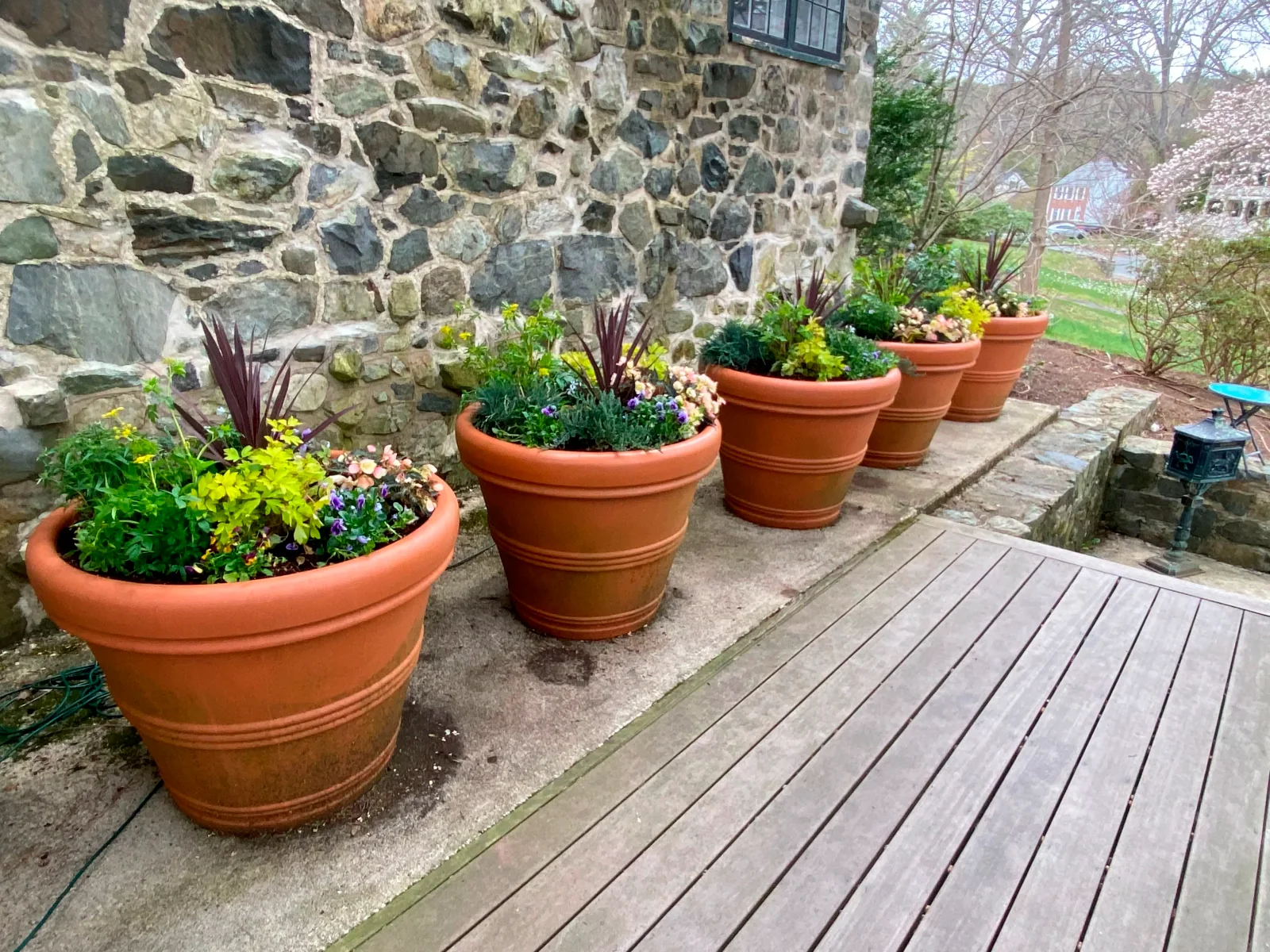 Seasonal container planting