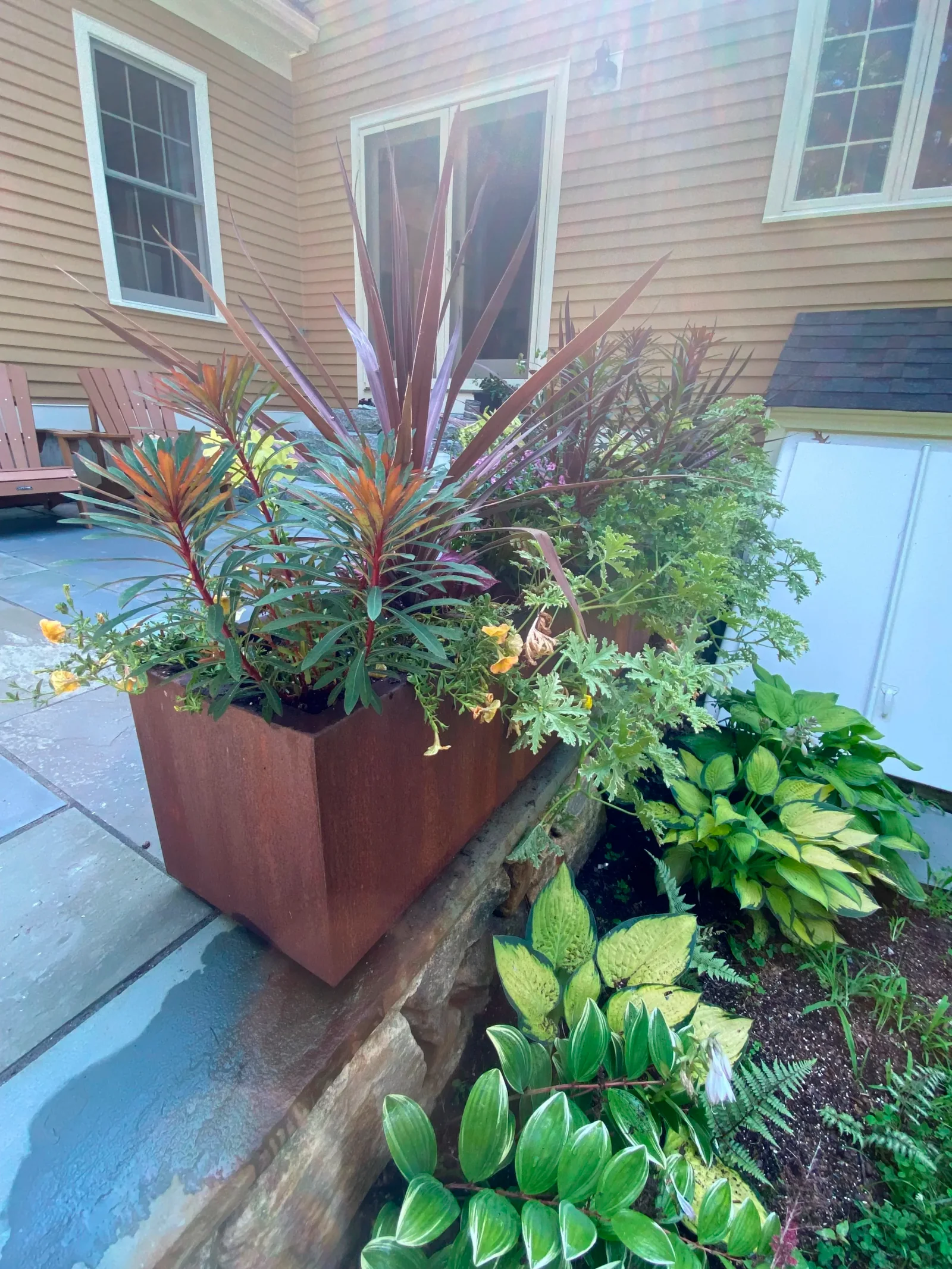 Seasonal container planting
