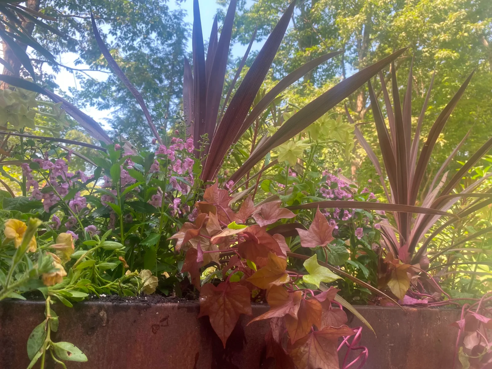 Seasonal container planting