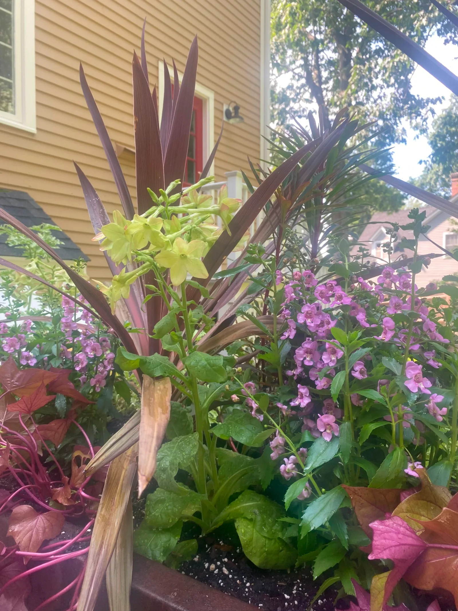 Seasonal container planting