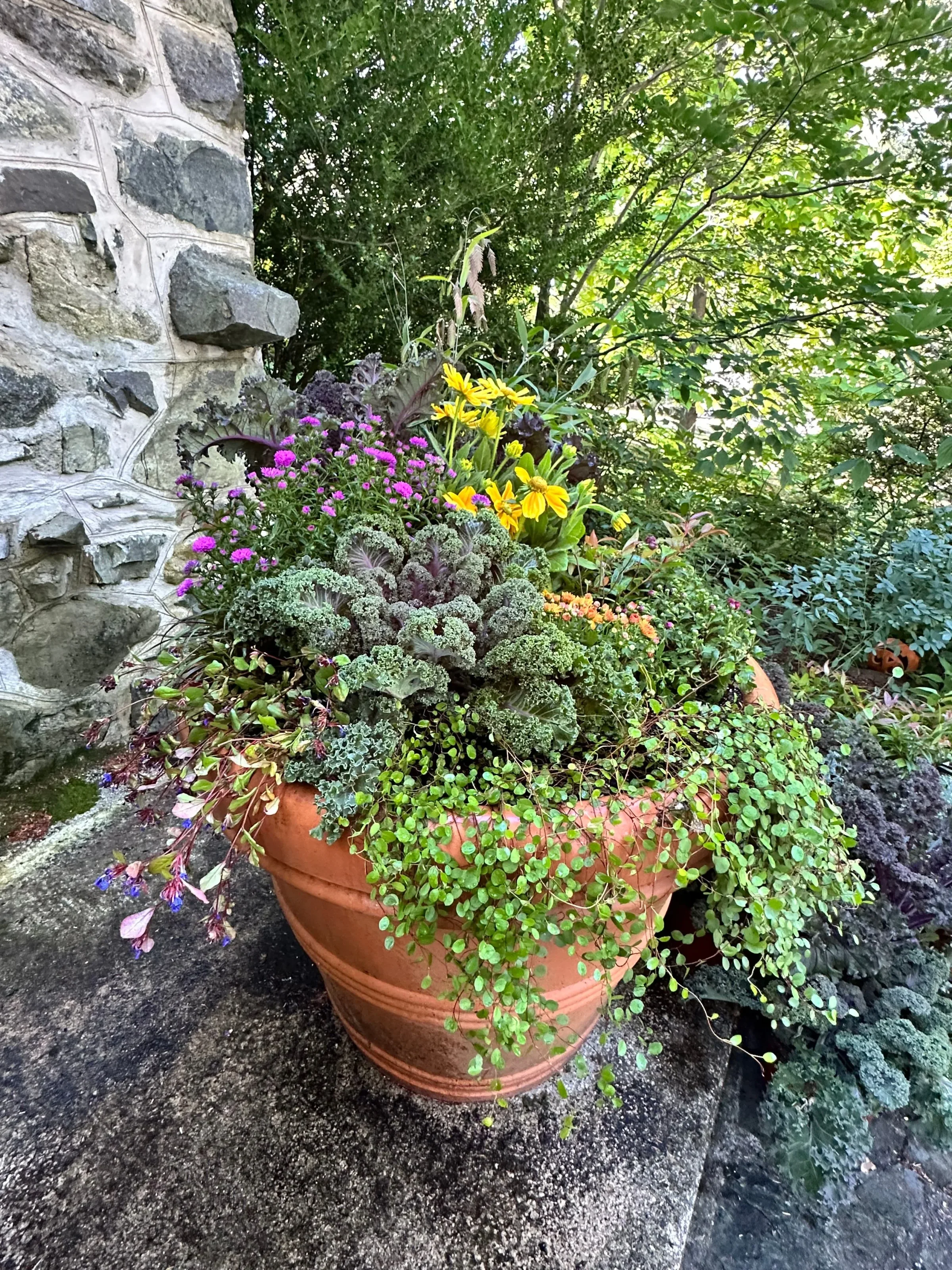 Seasonal container planting