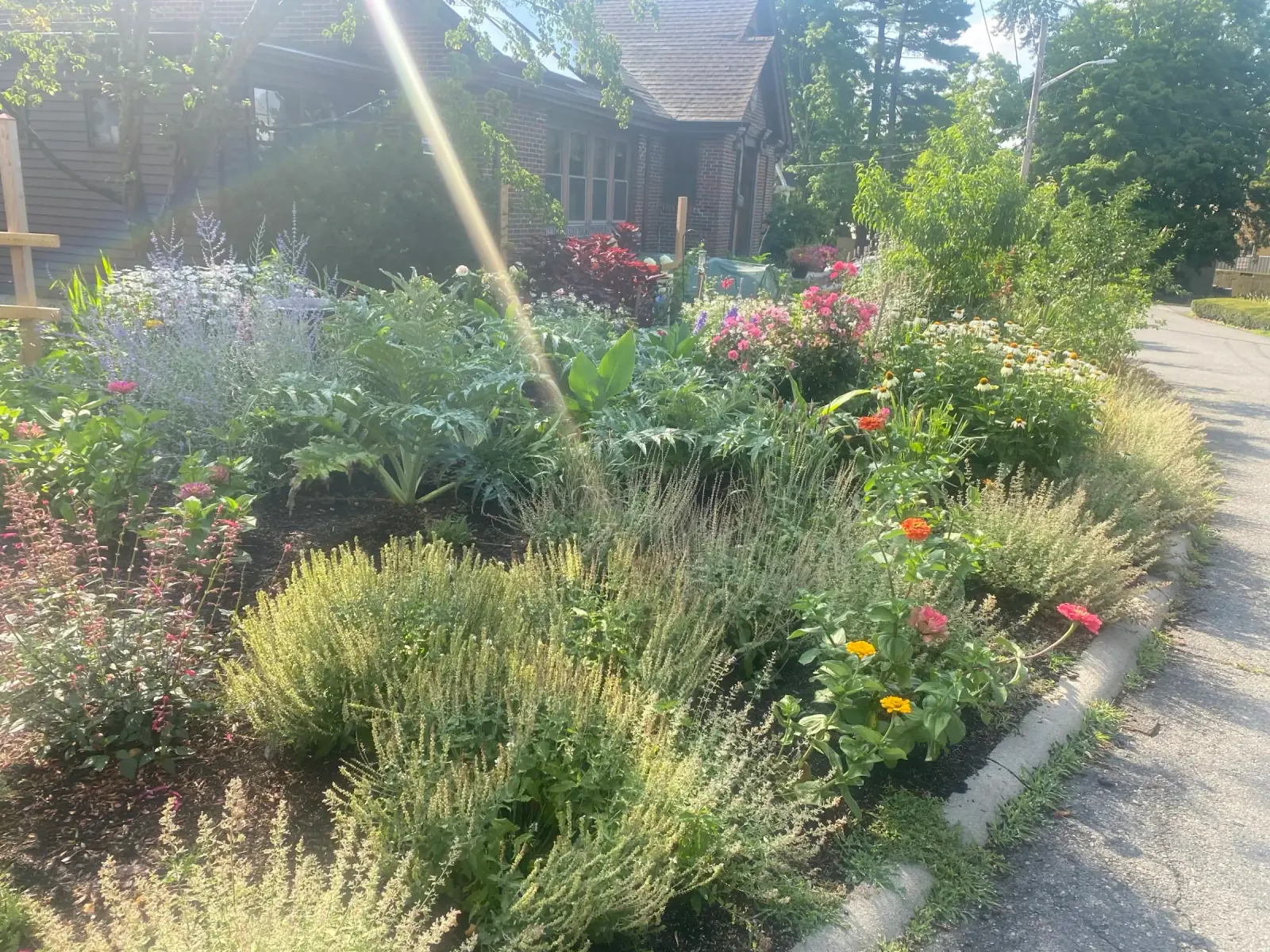 Selecting blooms in the cutting garden