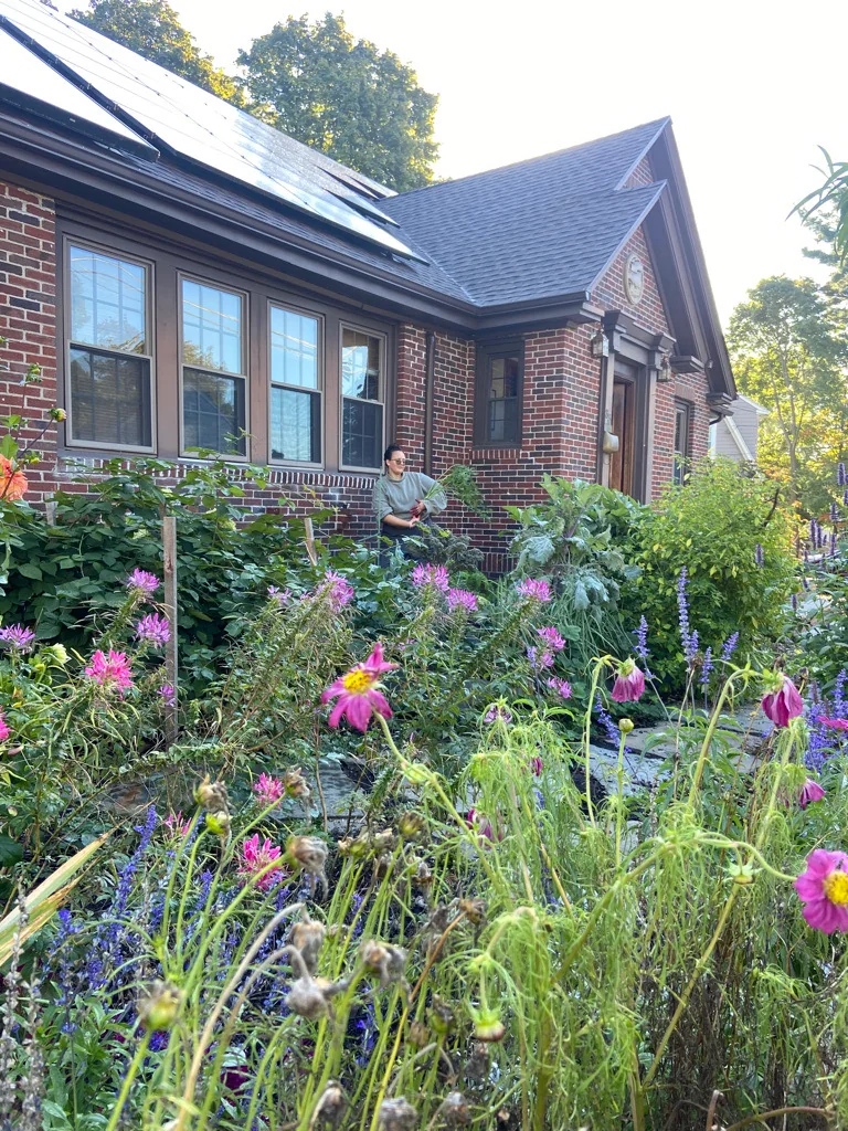 Cutting and pollinator plantings in a brick-fronted city garden