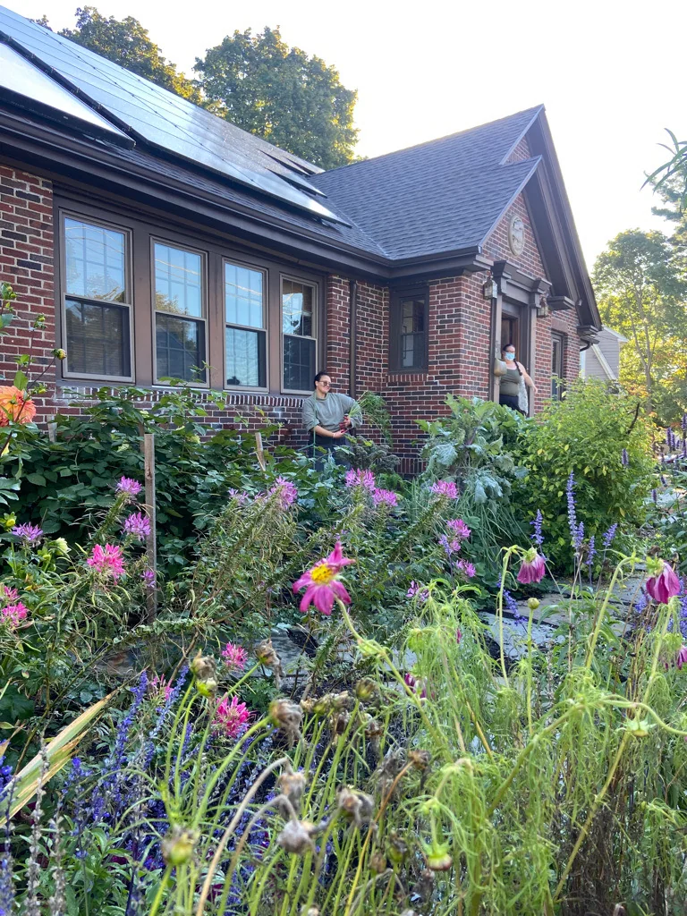 Cutting and pollinator plantings in a brick-fronted city garden