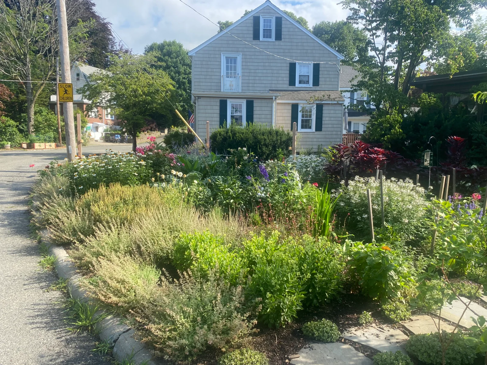 Cutting and pollinator plantings in a brick-fronted city garden