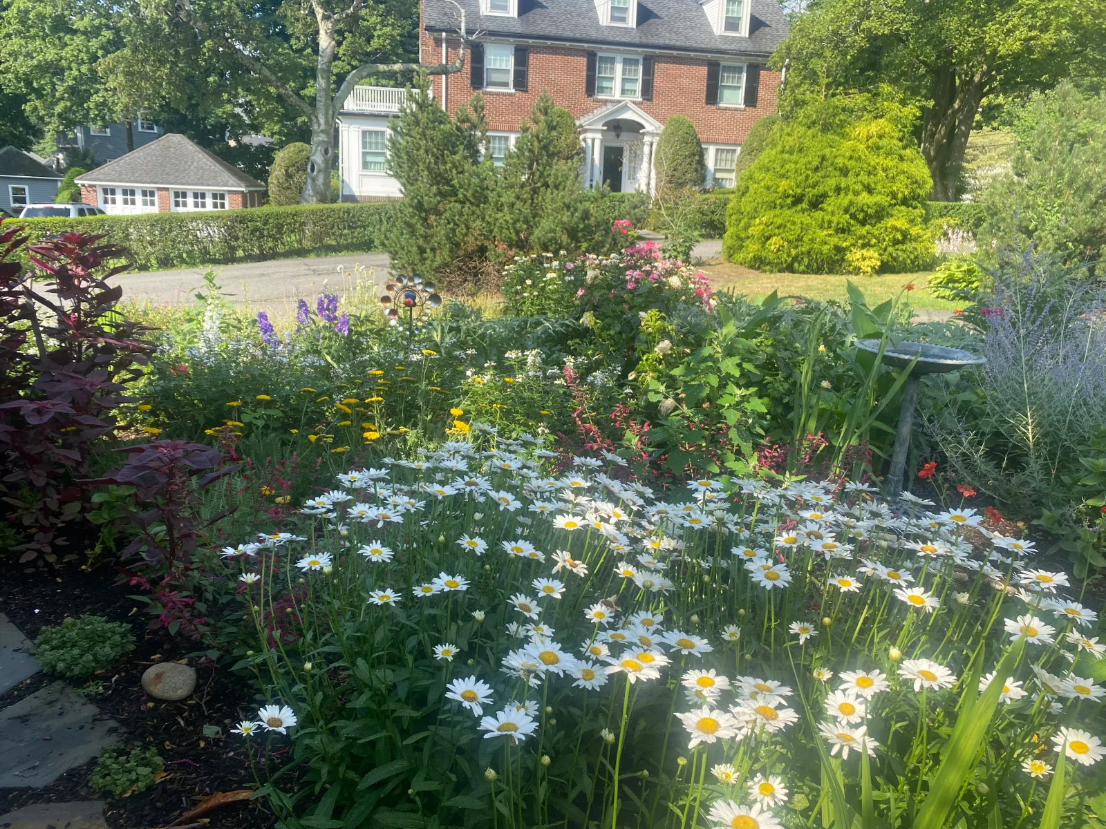 Cutting and pollinator plantings in a brick-fronted city garden