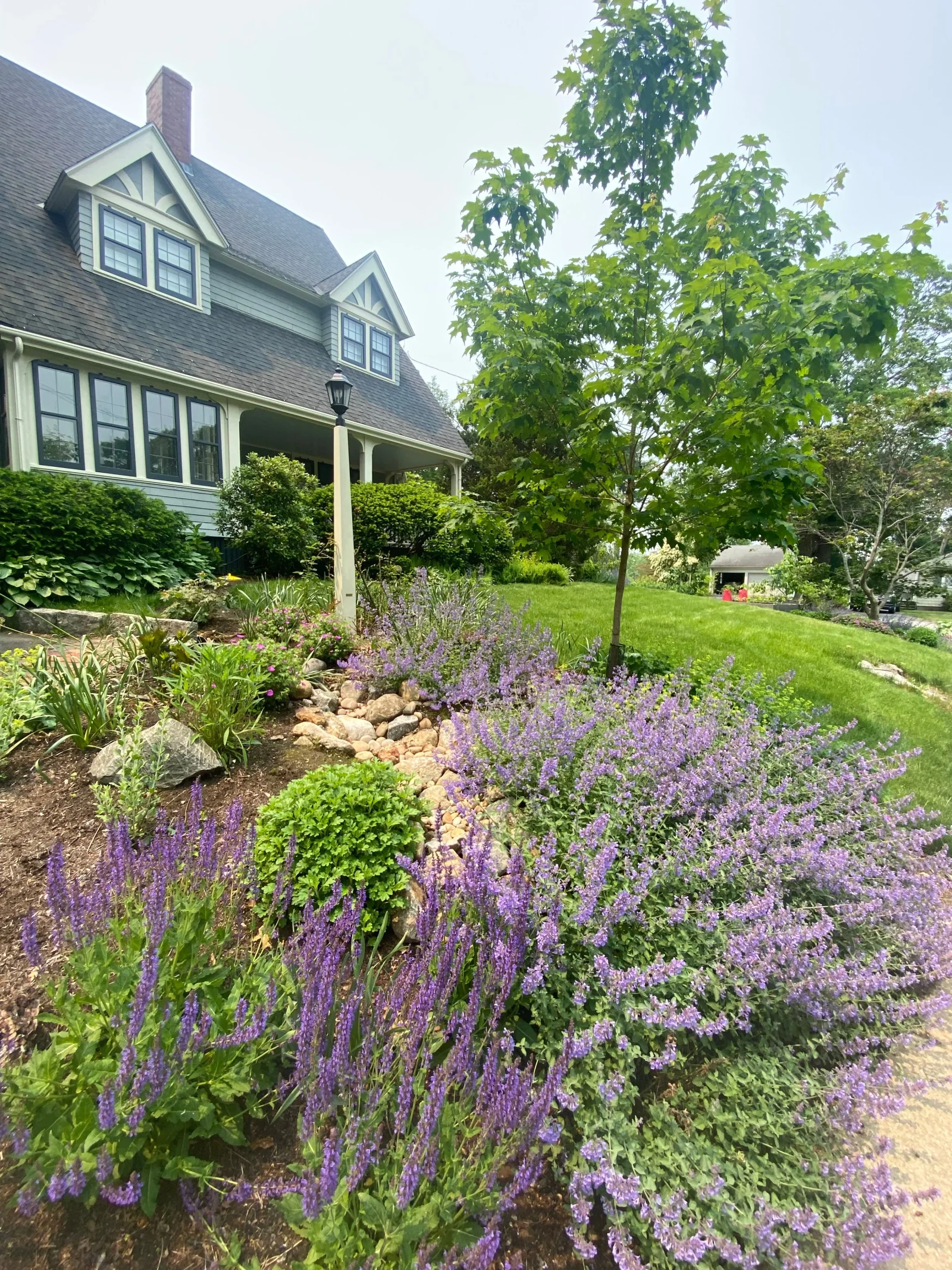 Dry creek bed channelling stormwater