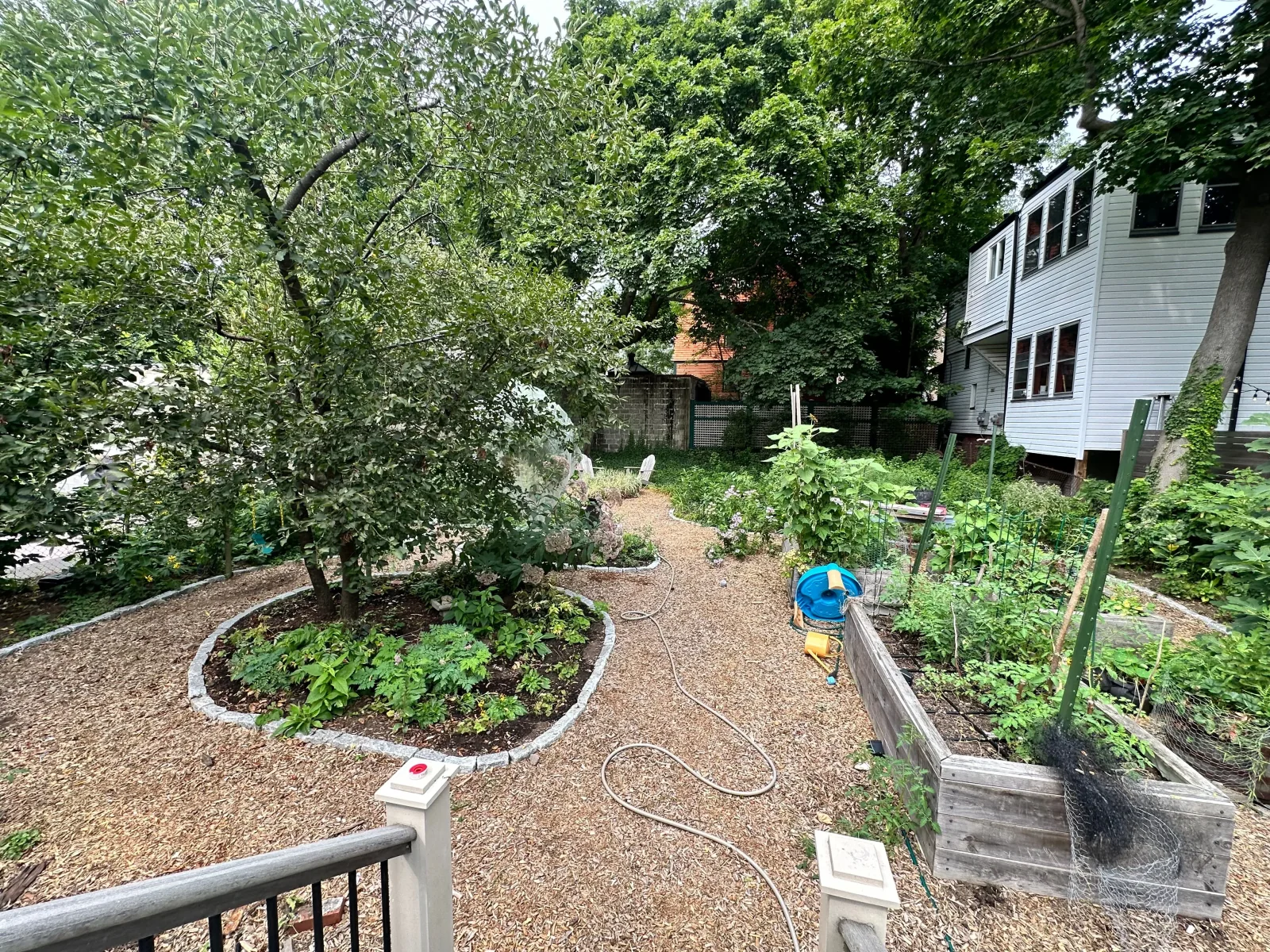 Edible garden planting