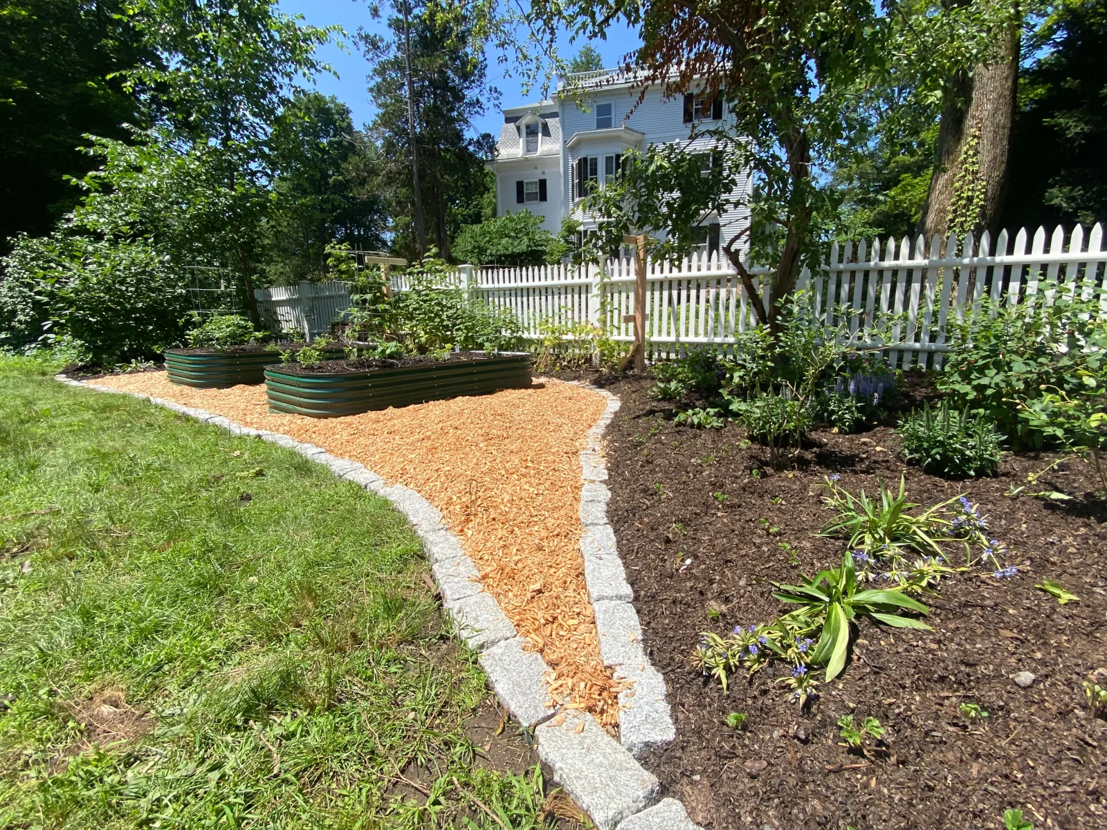A mini food forest of layered edible and pollinator plantings behind a white picket fence
