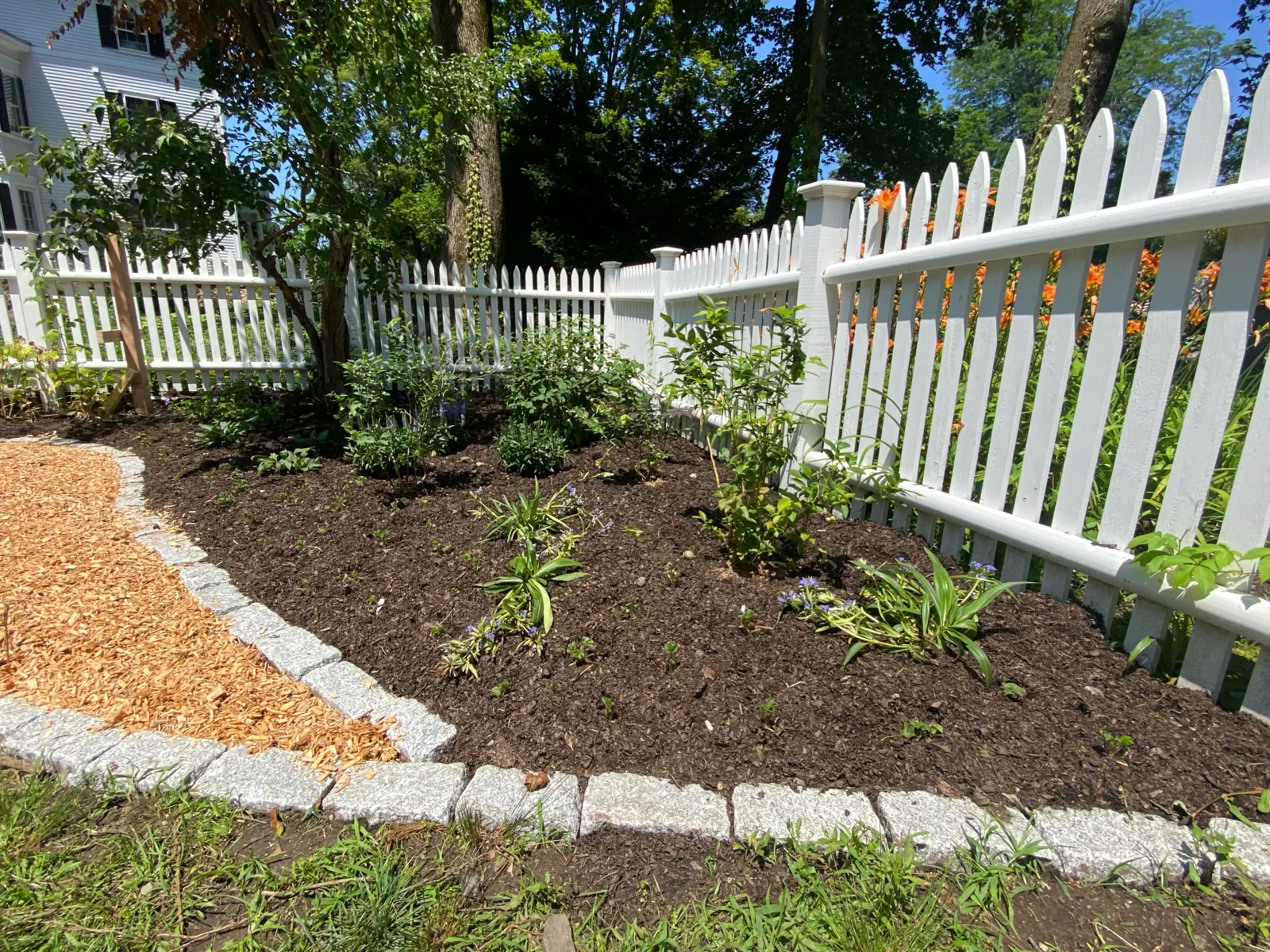 A mini food forest of layered edible and pollinator plantings behind a white picket fence