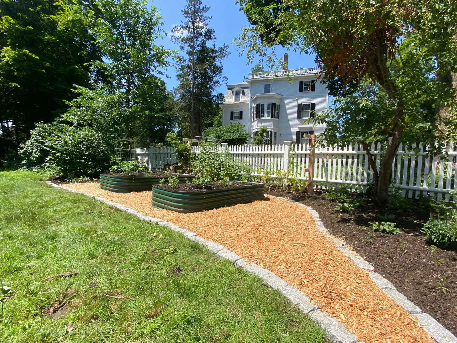 A mini food forest of layered edible and pollinator plantings behind a white picket fence
