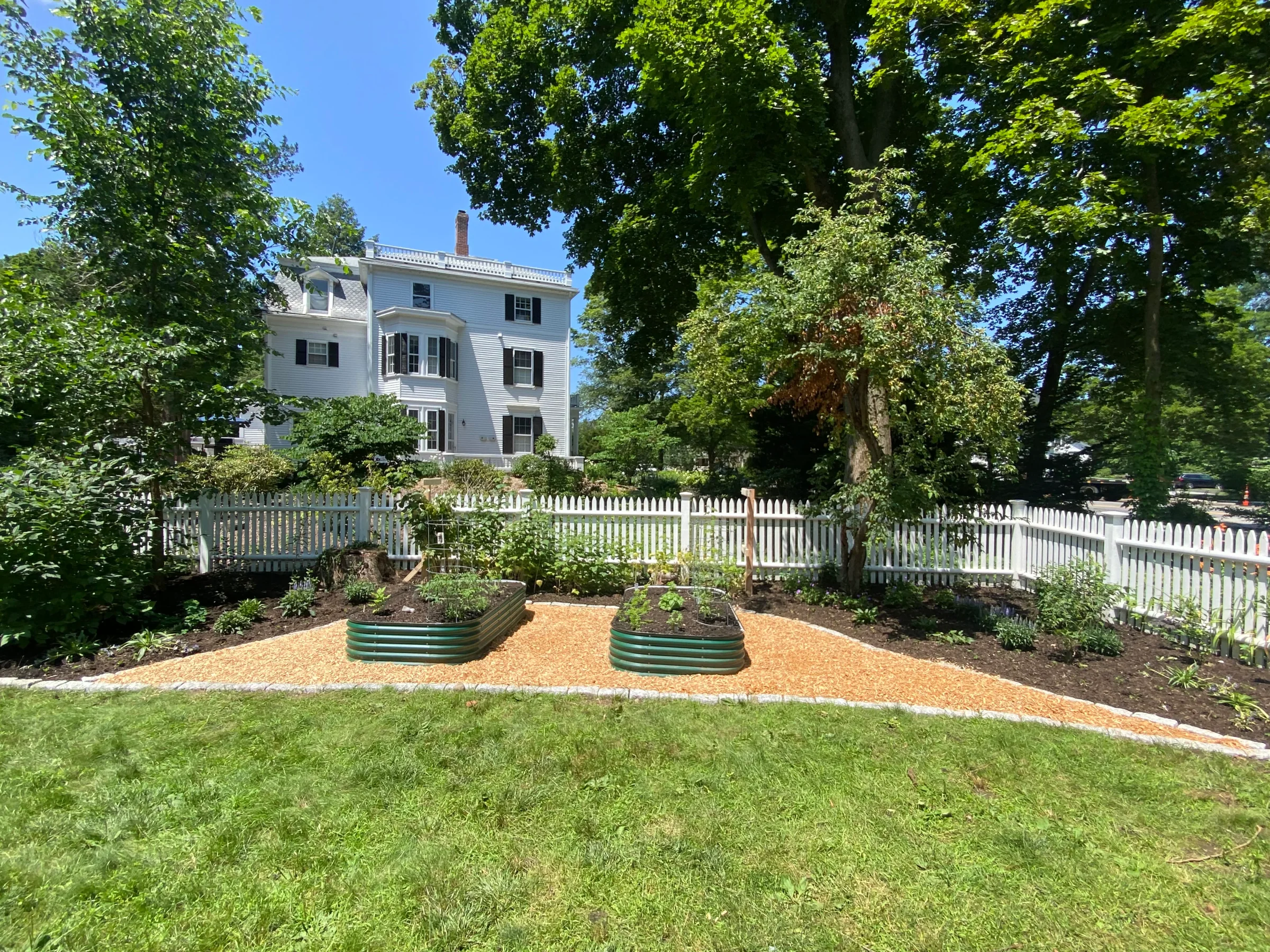 A mini food forest of layered edible and pollinator plantings behind a white picket fence