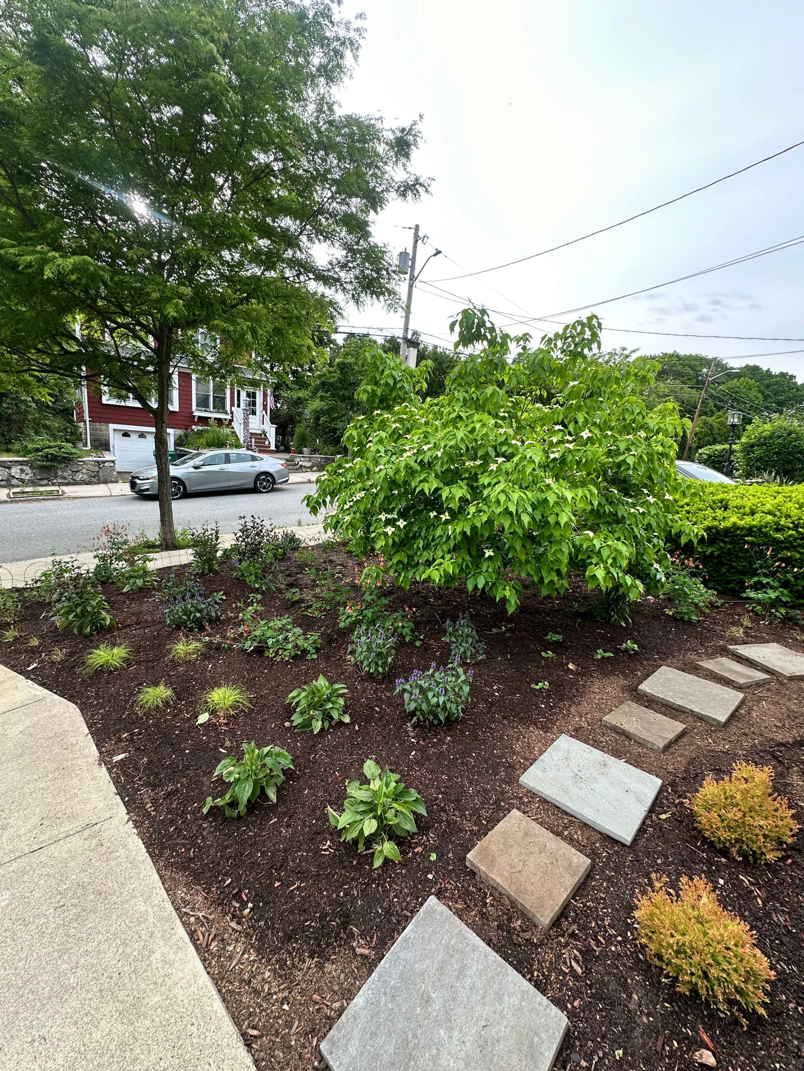 Front garden replacing lawn