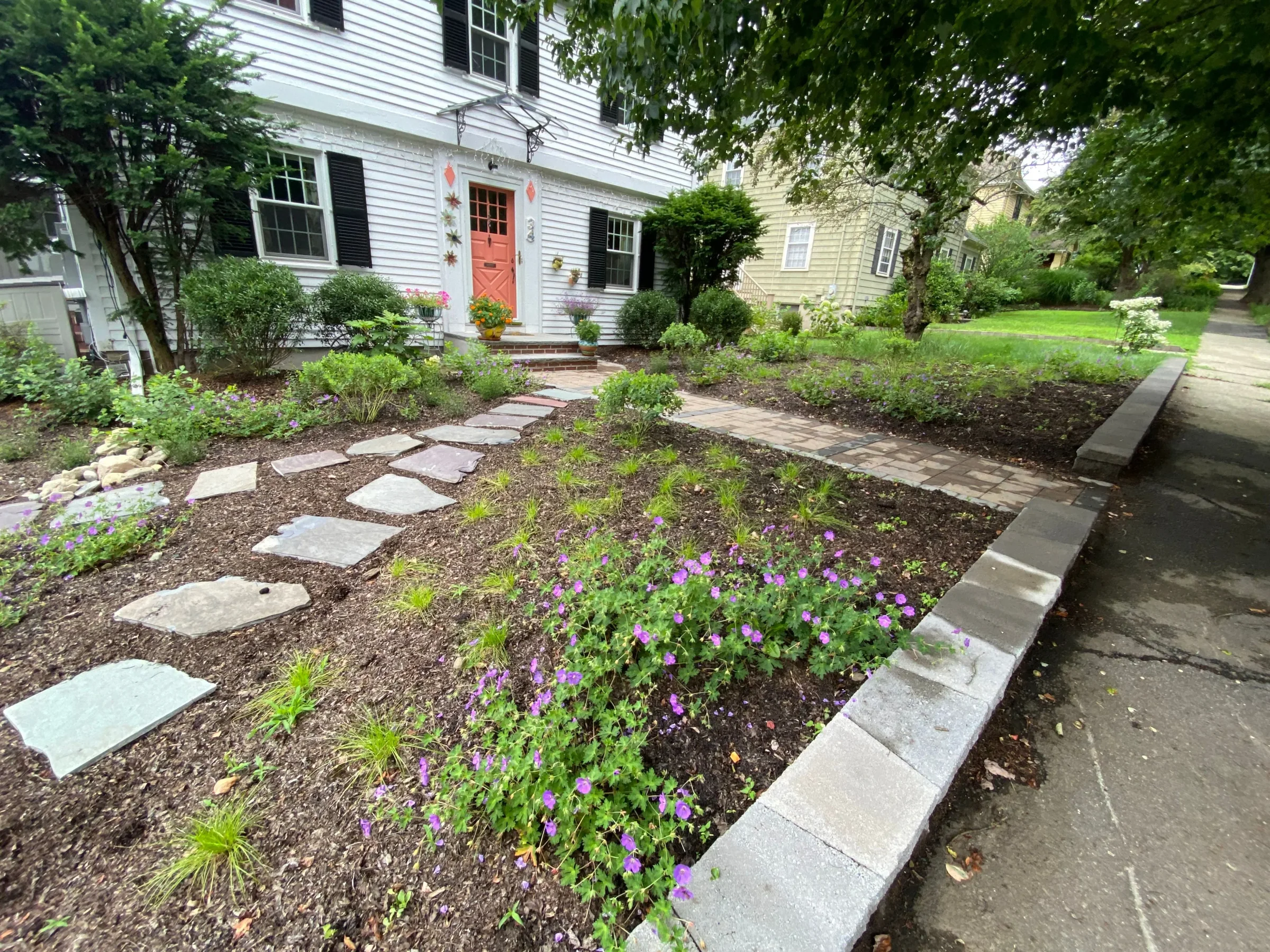 Front garden replacing lawn
