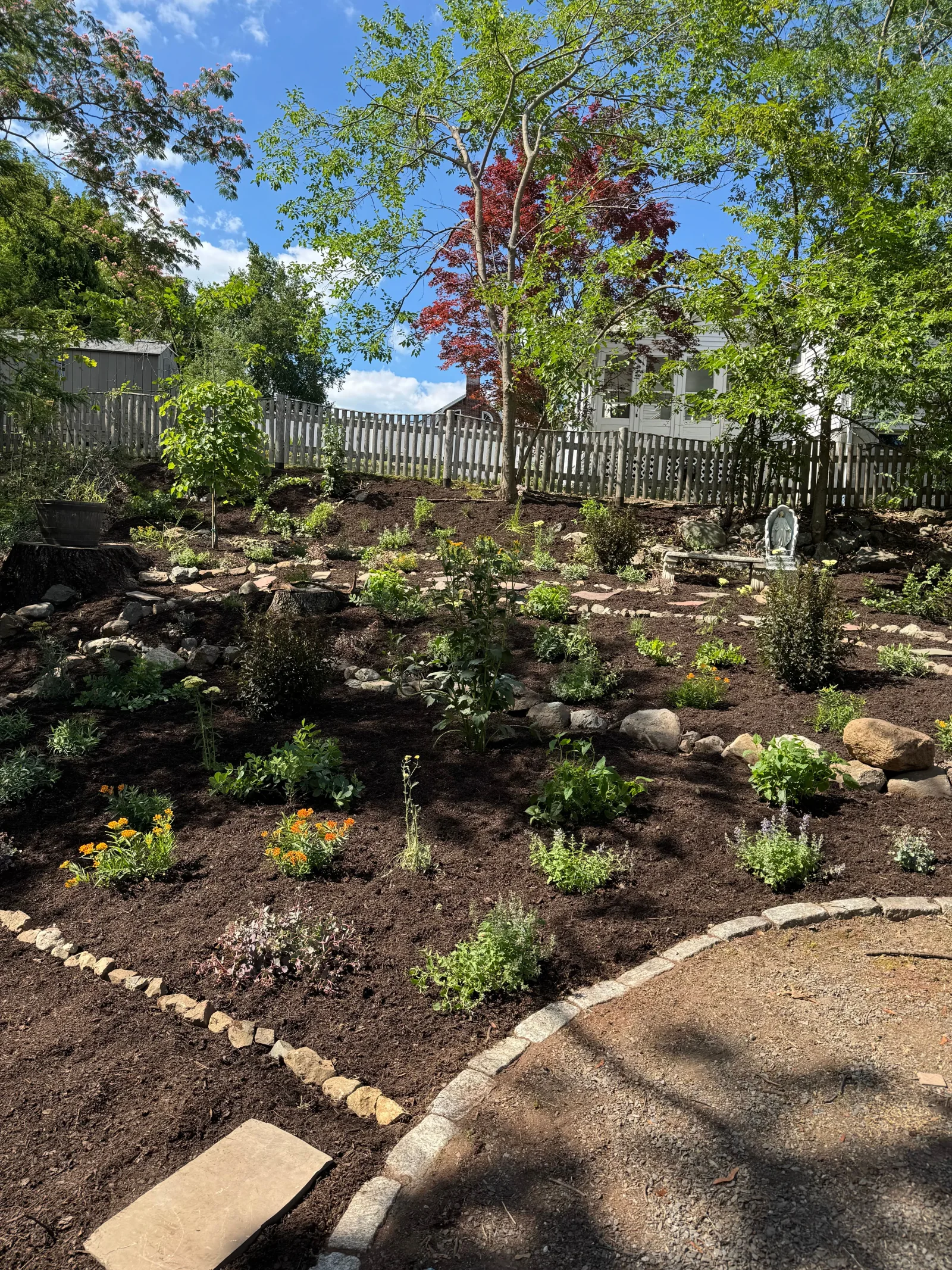 Native habitat garden planting