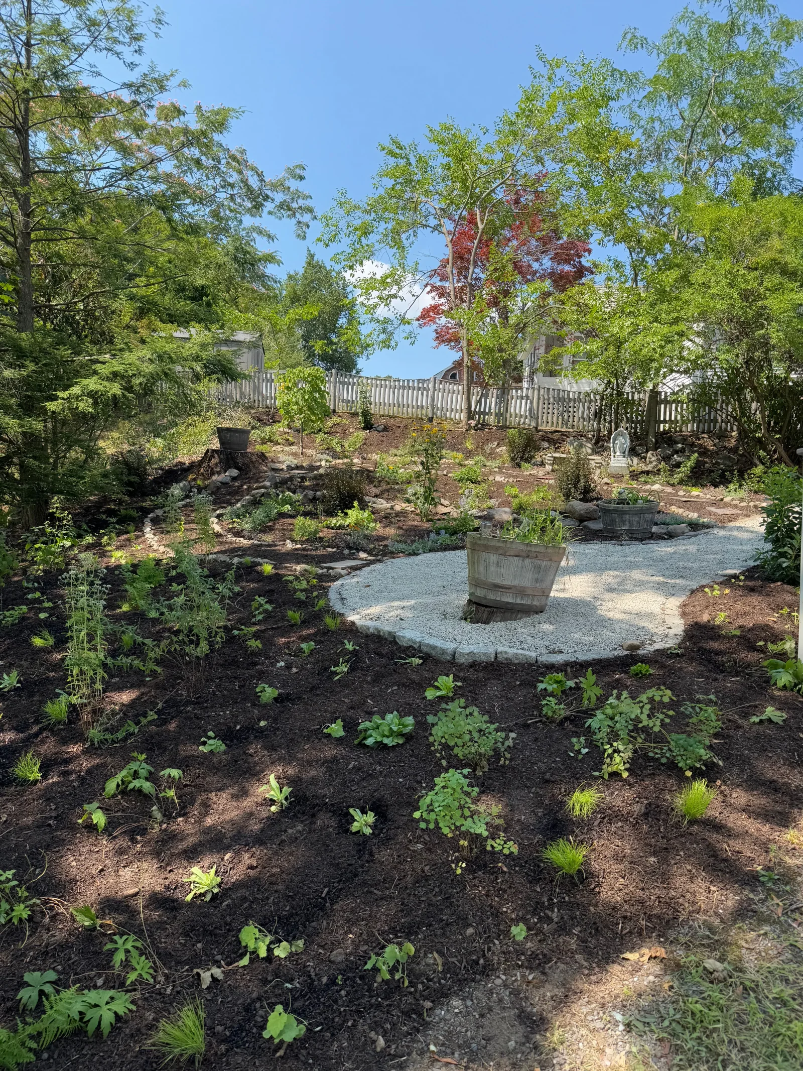 Native habitat garden planting