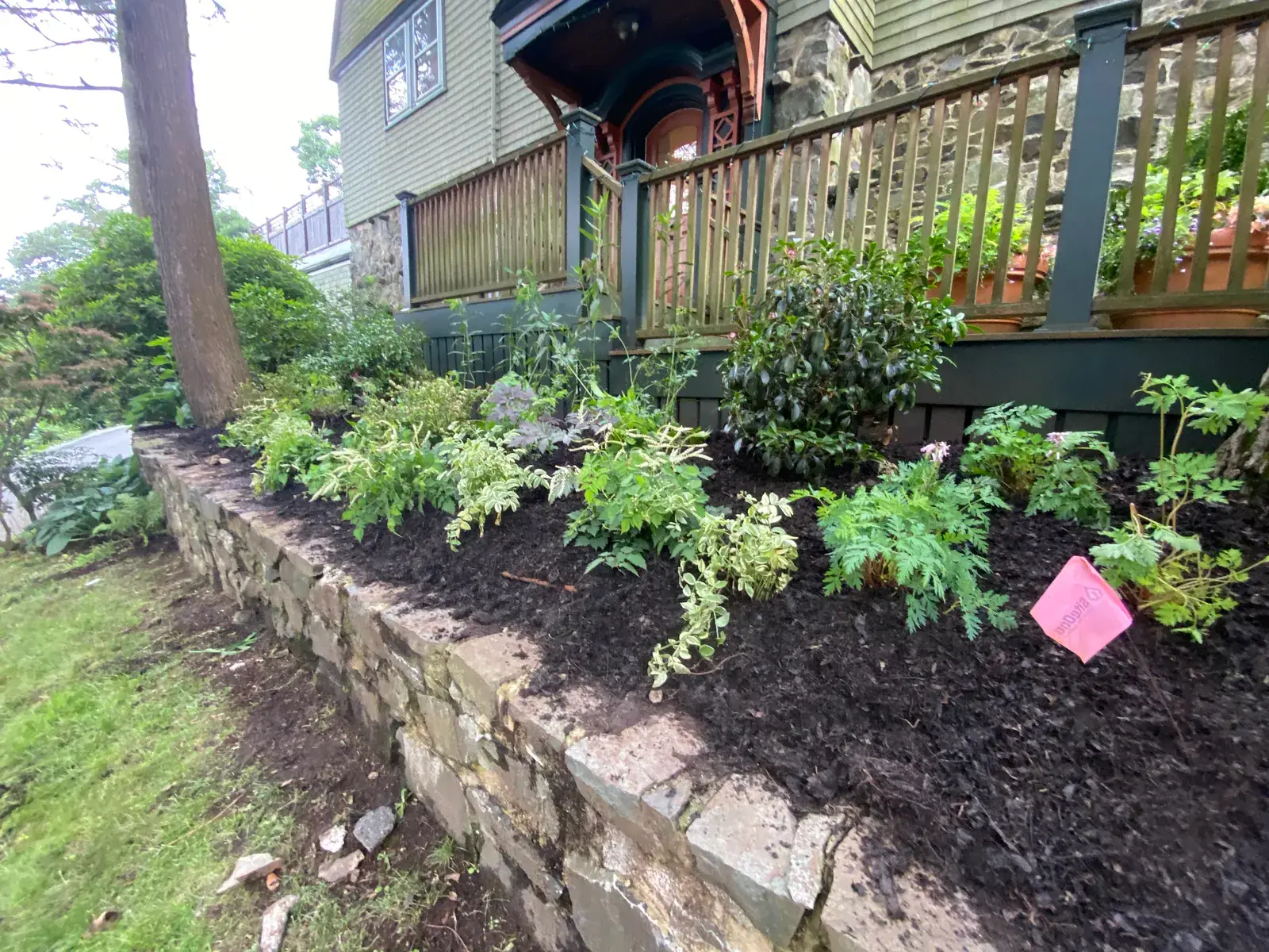 Layered shade foundation planting along a stone wall