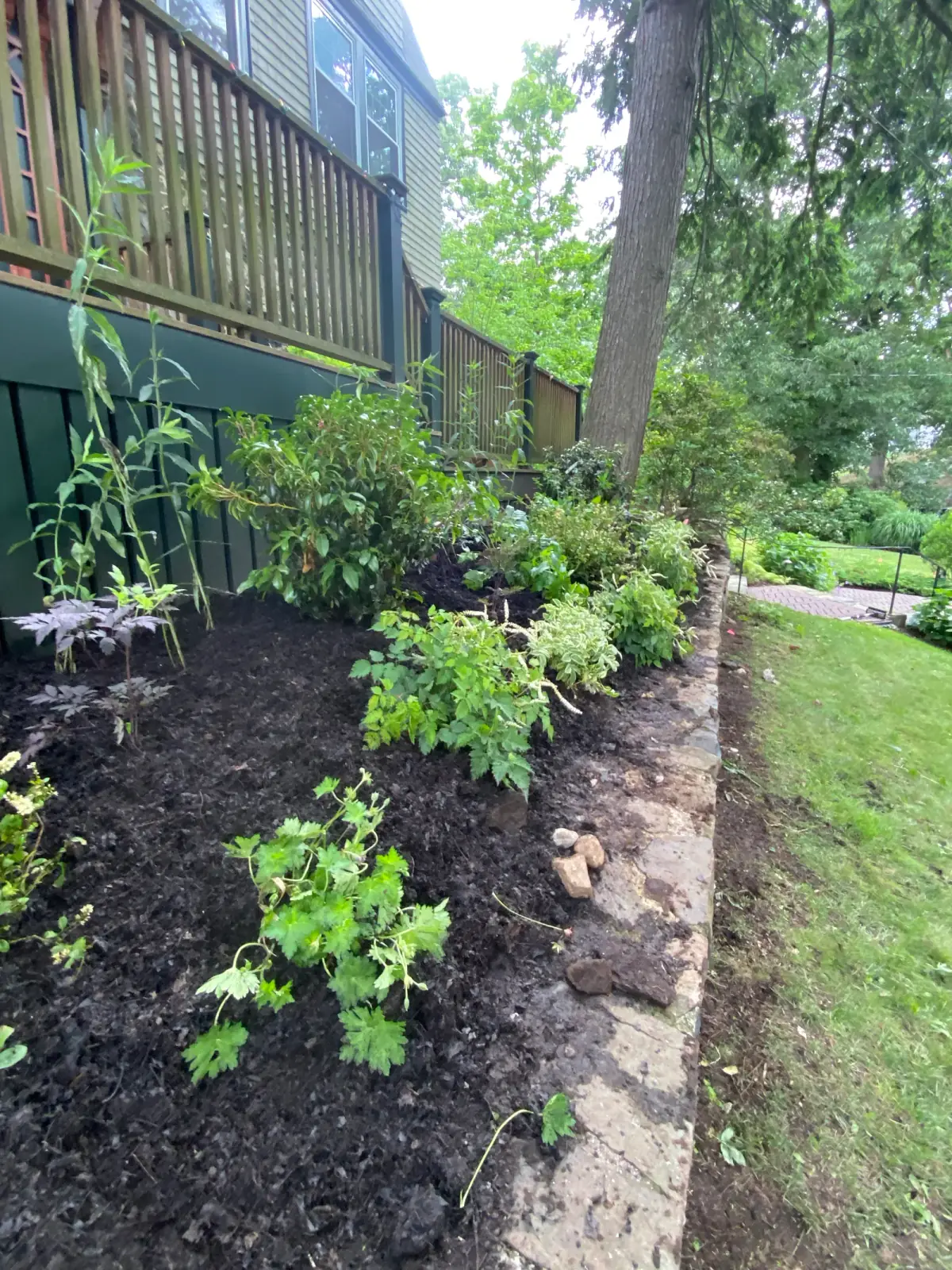 Side foundation bed with shade-loving natives