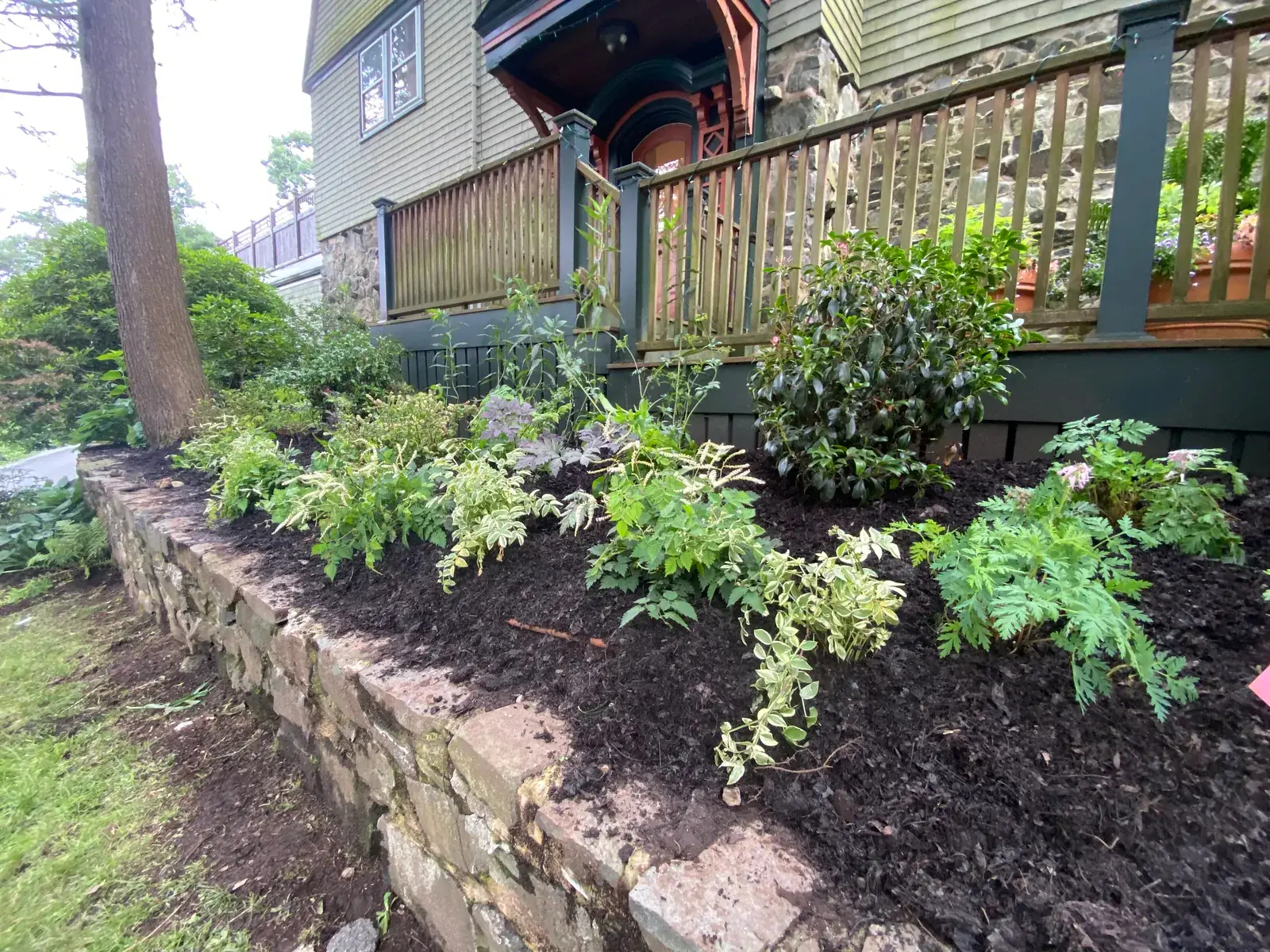 Stone foundation wall with layered shade plantings