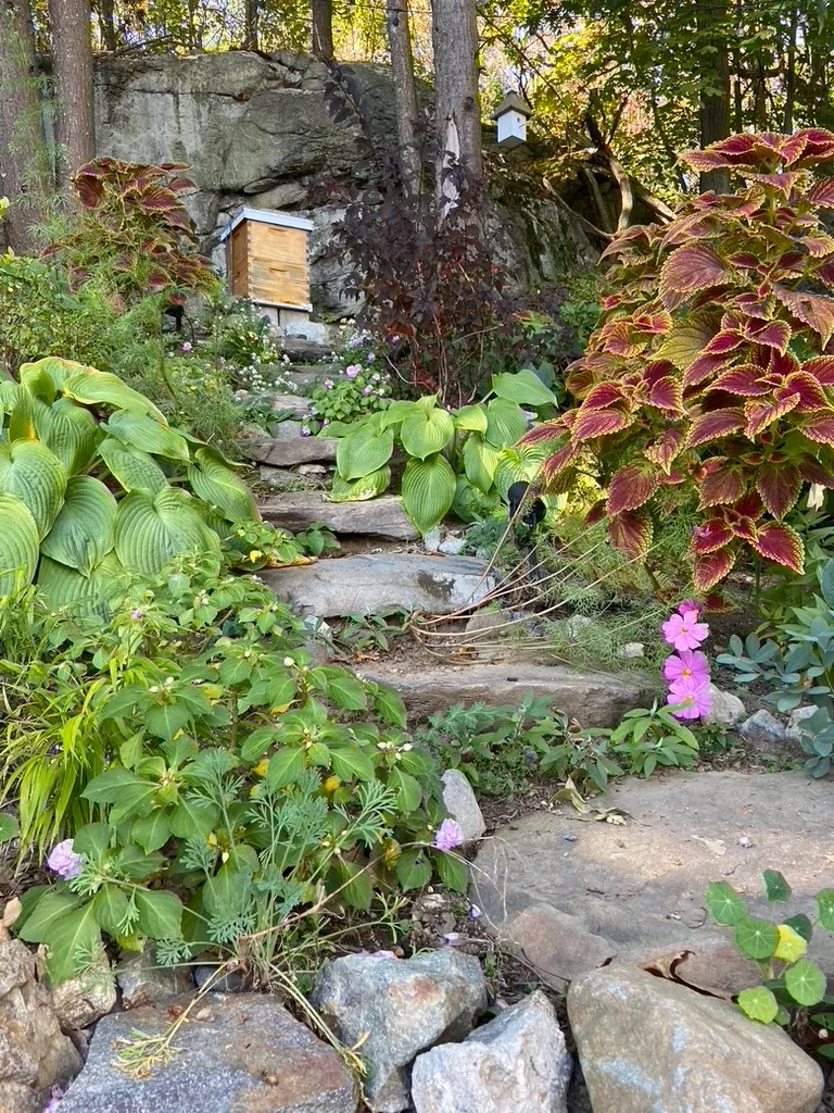 Stone steps past hostas and coleus to a beehive below a ledge