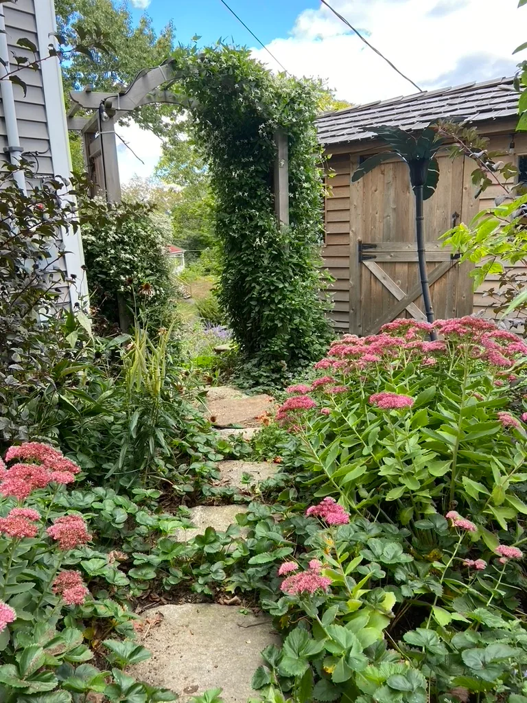 A vine-covered arbour and shed above a stone path edged with sedum