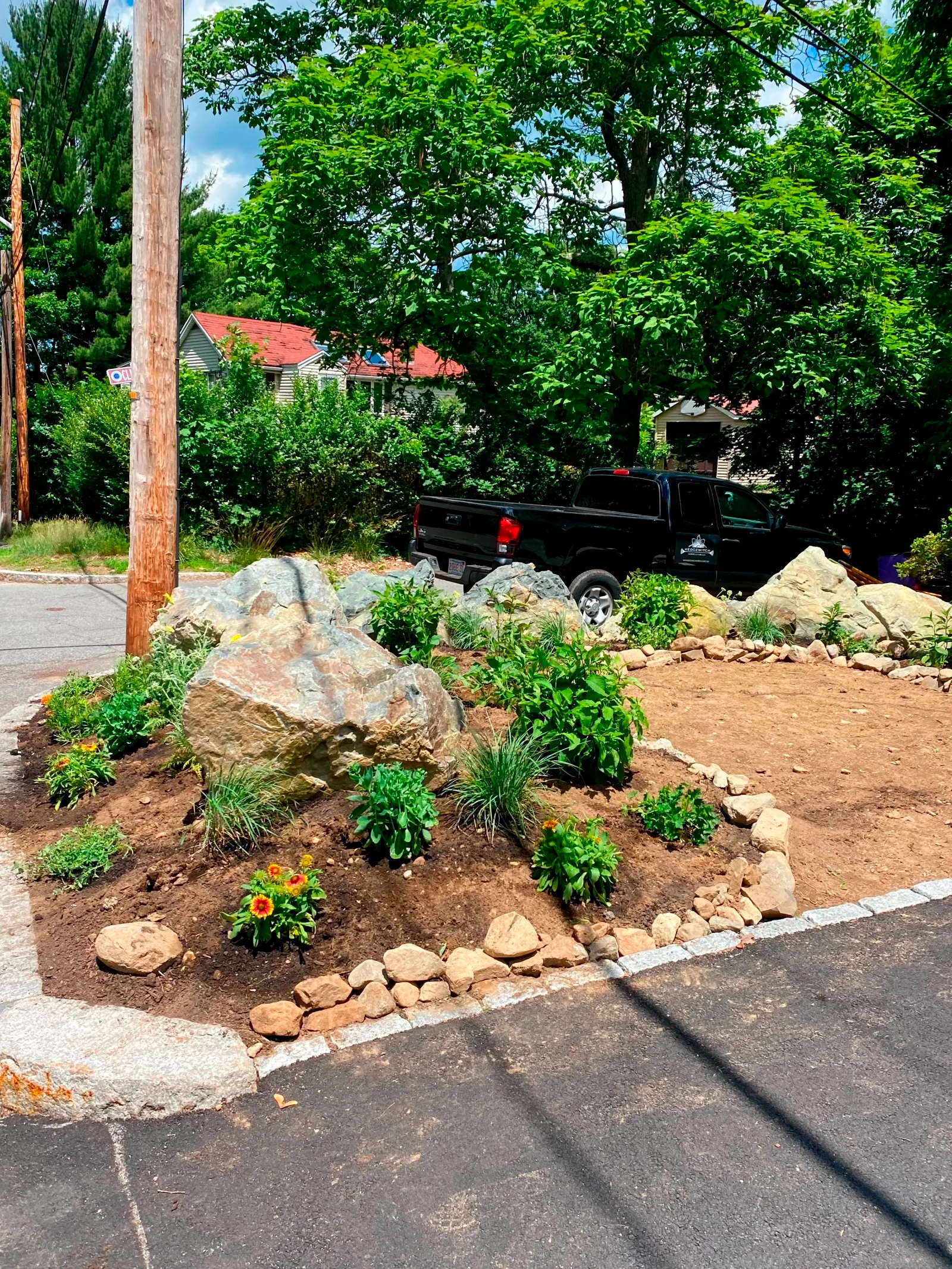 Pollinator garden in bloom