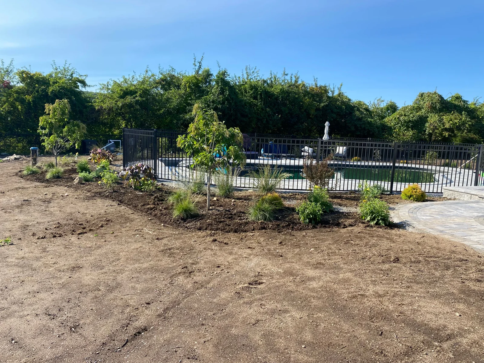 Pollinator garden in bloom